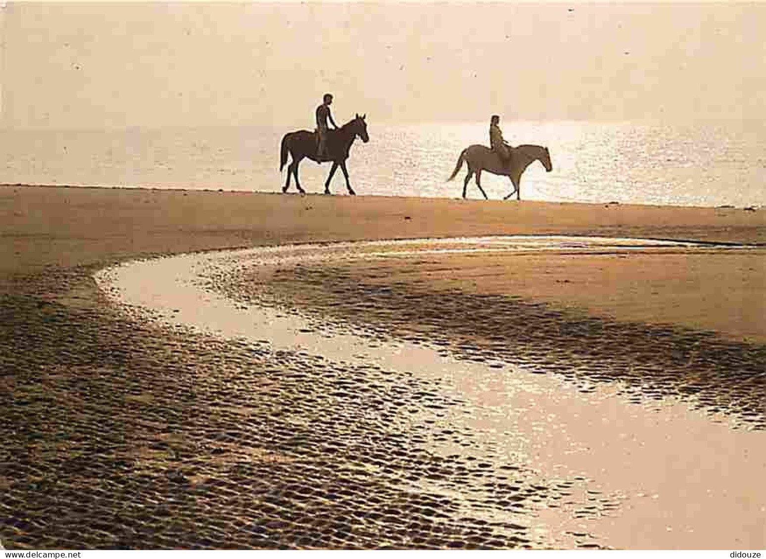 Animaux - Chevaux - Promenade Equestre Sur La Plage - Flamme Postale - CPM - Voir Scans Recto-Verso - Chevaux