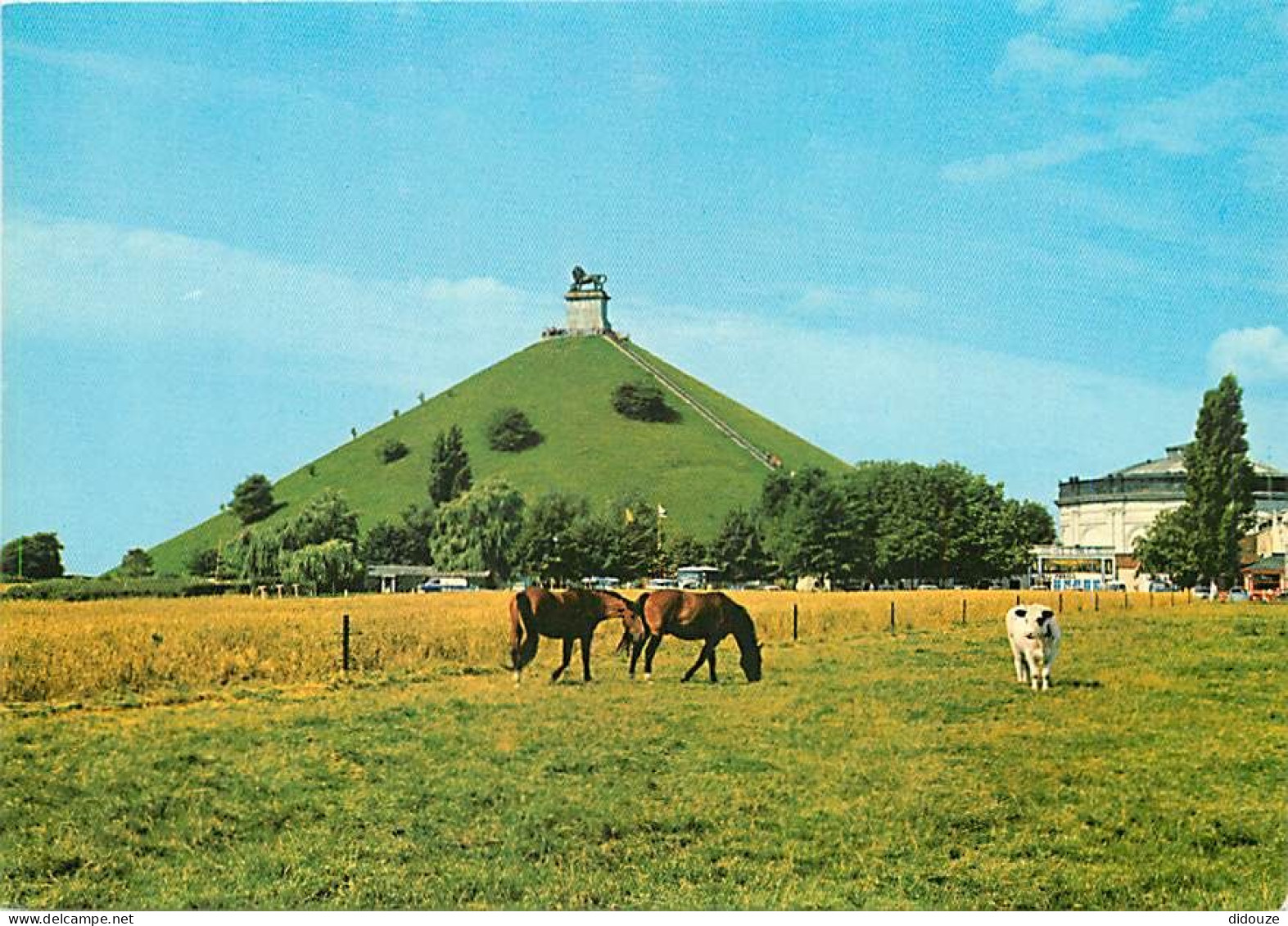 Animaux - Chevaux - Vaches - Belgique Waterloo - Champ De Bataille, La Butte Et Le Lion - Carte Neuve - CPM - Voir Scans - Chevaux