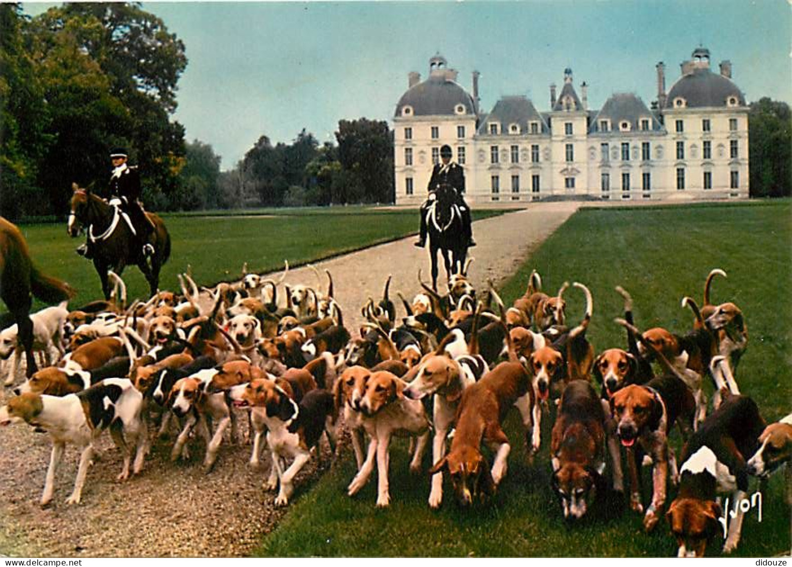 Animaux - Chevaux - Château De Cheverny - Chasse à Courre - Chiens - Carte Neuve - CPM - Voir Scans Recto-Verso - Chevaux