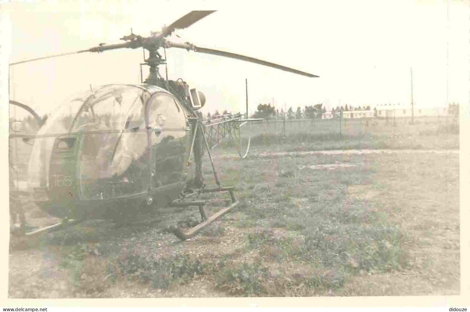 Thèmes - Aviation - Hélicoptère - Photographie 135 X 85 Mm - Voir Scans Recto-Verso - Hélicoptères