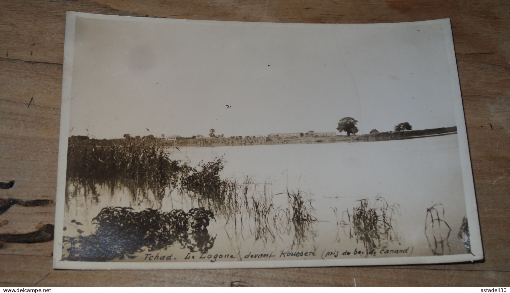 TCHAD : Carte Photo, Le Logone Devant KOUSSERI ................ BE-17827 - Tchad