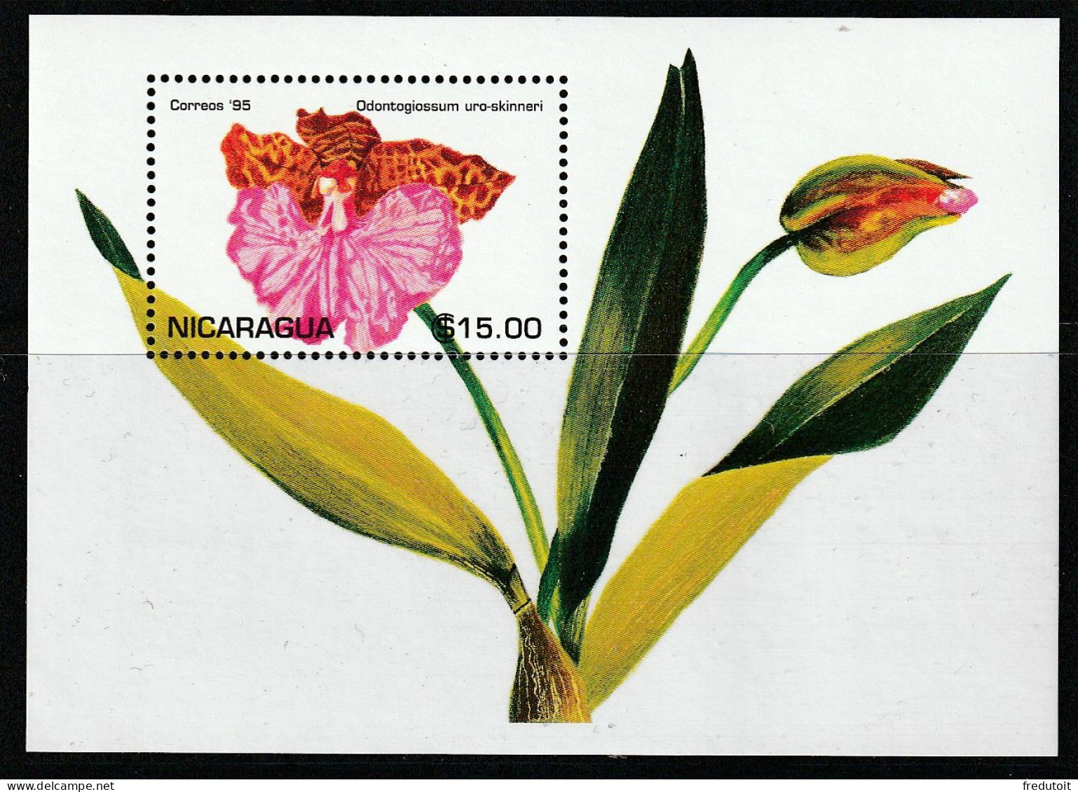 NICARAGUA - BLOC N°255 ** (1995) Fleurs : Orchidées - Nicaragua