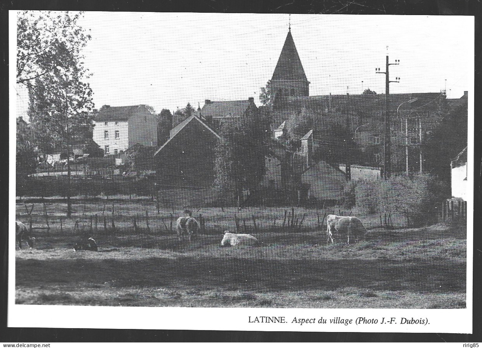 1980  --  BELGIQUE . LATINNE . VUE DU VILLAGE . 4A904 - Ohne Zuordnung