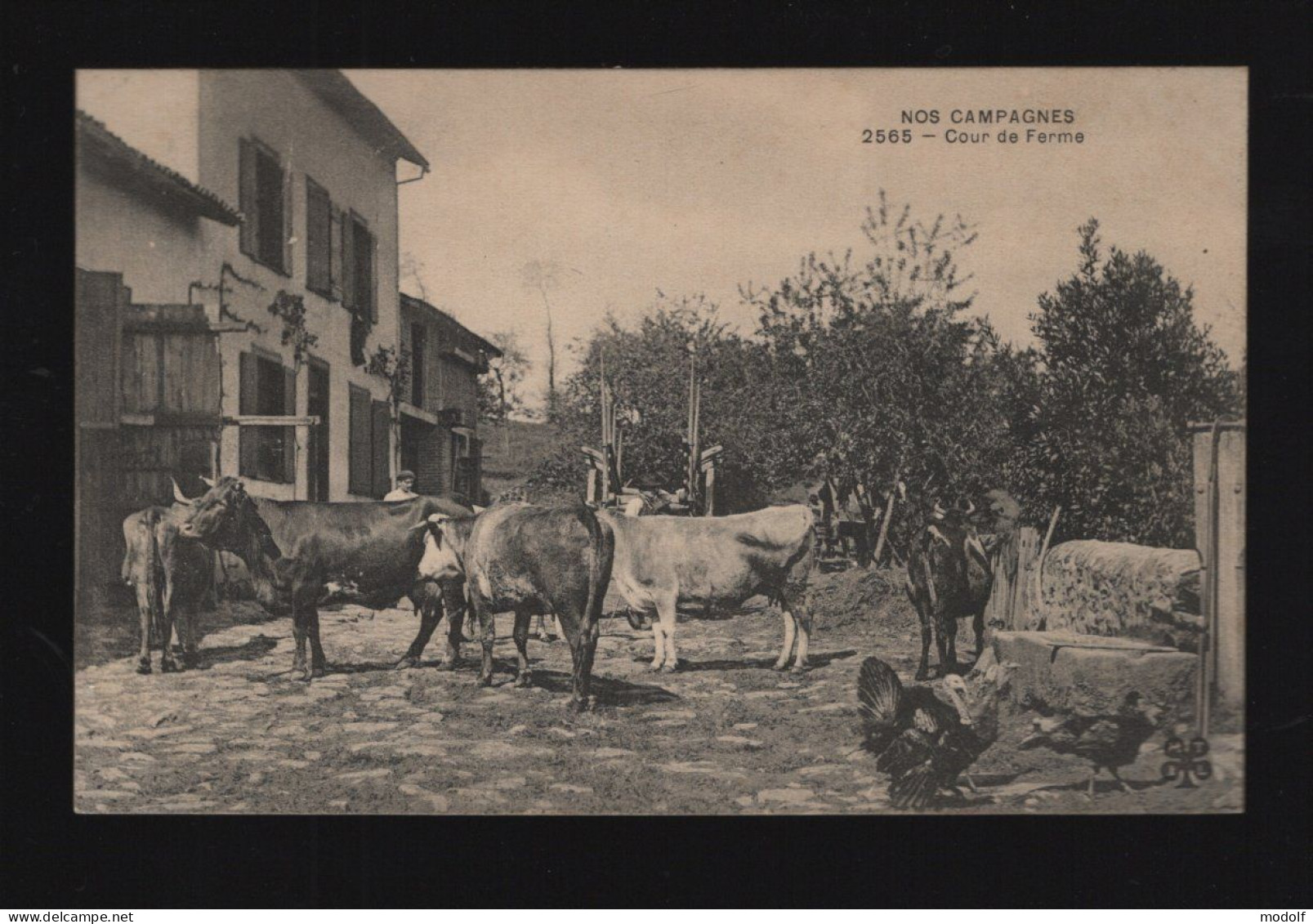 CPA - Agriculture - Nos Campagnes - Cour De Ferme - Non Circulée - Fermes