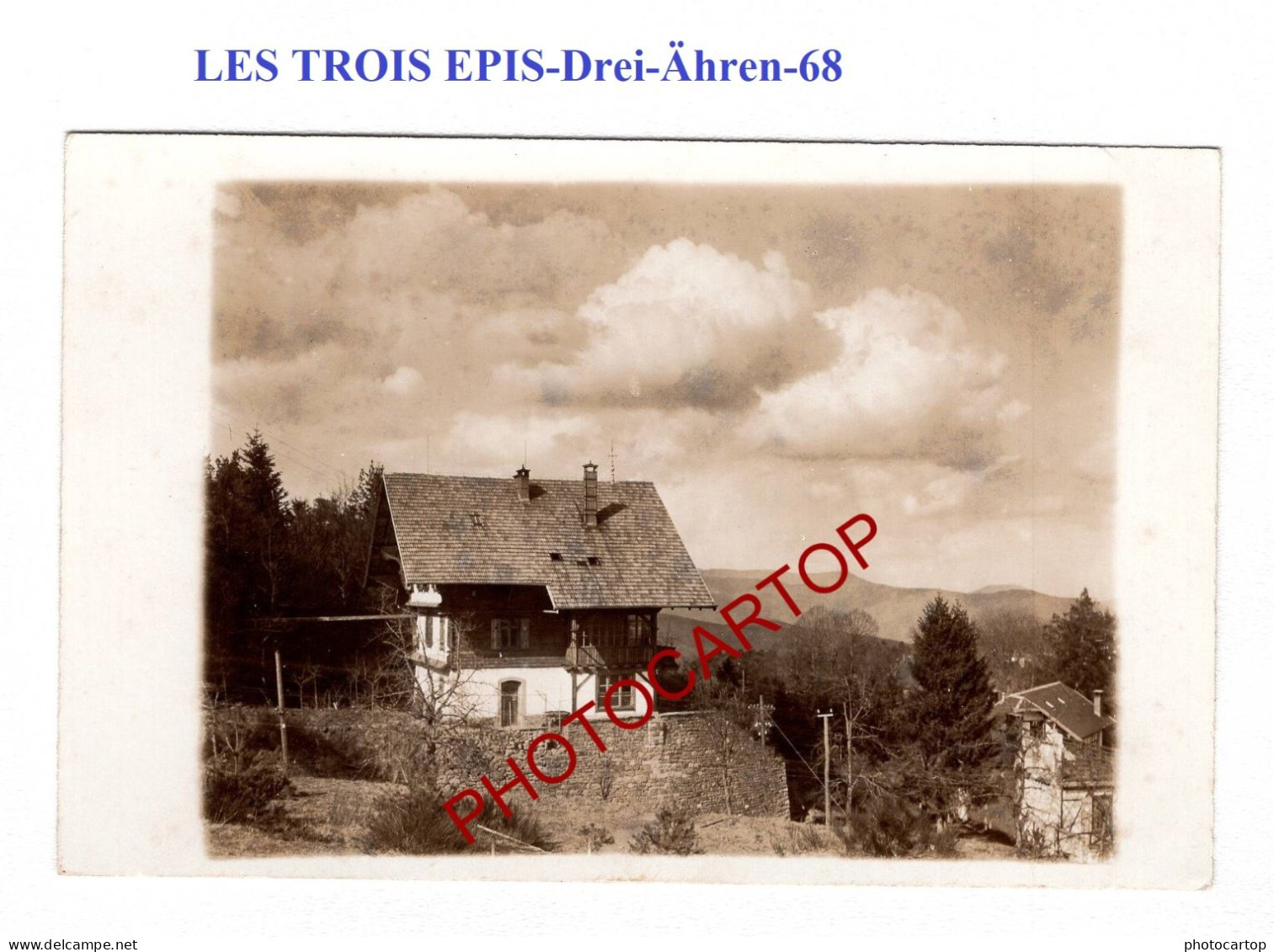 LES TROIS EPIS-Drei-Ähren-CARTE PHOTO Allemande-GUERRE 14-18-1 WK-Militaria- - Trois-Epis