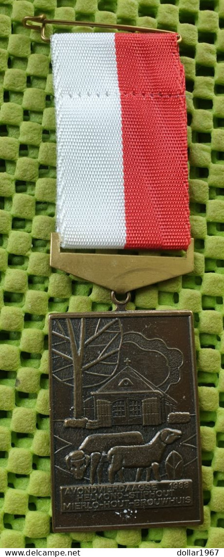 Medaile   : Avondvierdaagse Helmond-Striphout , Mierlo. - Hout - Brouwhuis 1988 .-  Original Foto  !!  Medallion  Dutch - Other & Unclassified