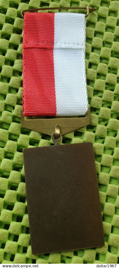 Medaile   : Avondvierdaagse Helmond-Striphout , Mierlo. - Hout - Brouwhuis 1988 .-  Original Foto  !!  Medallion  Dutch - Andere & Zonder Classificatie