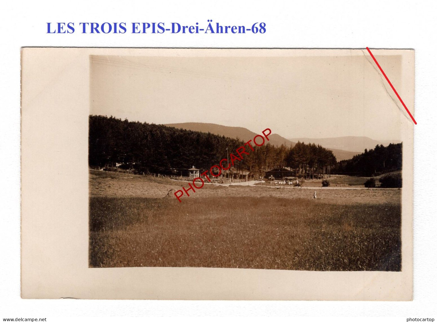 LES TROIS EPIS-Drei-Ähren-Waldlager-Kolonie Hinkelstein-CARTE PHOTO Allemande-GUERRE 14-18-1 WK-Militaria- - Trois-Epis