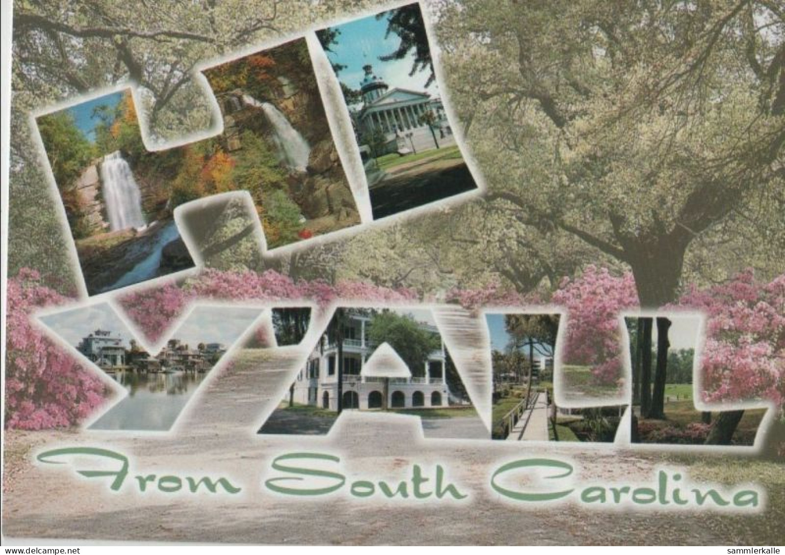 91096 - USA - South Carolina - Hi - Ca. 1985 - Altri & Non Classificati