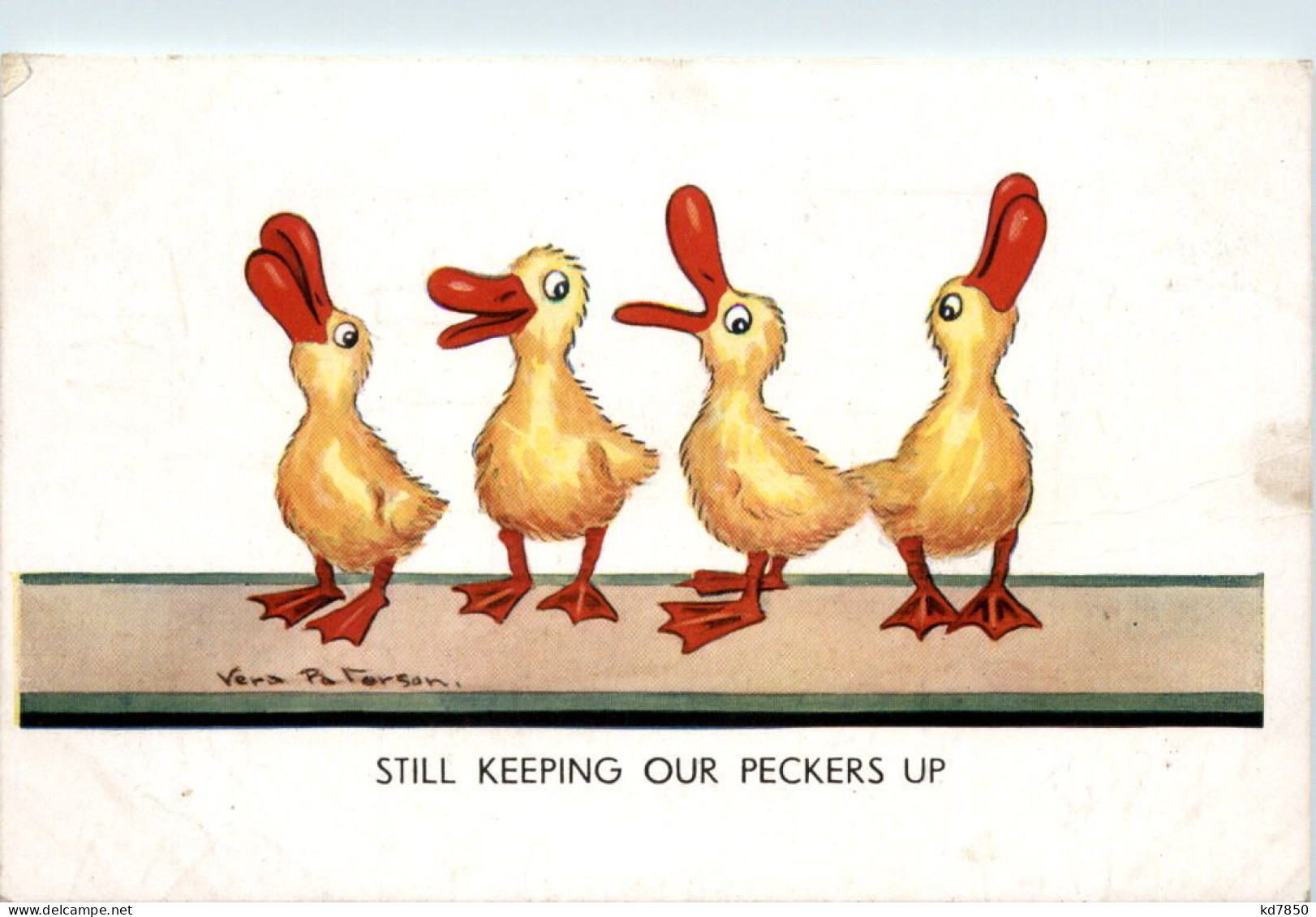 Ducks - Künstlerkarte Vera Paterson - Vogels