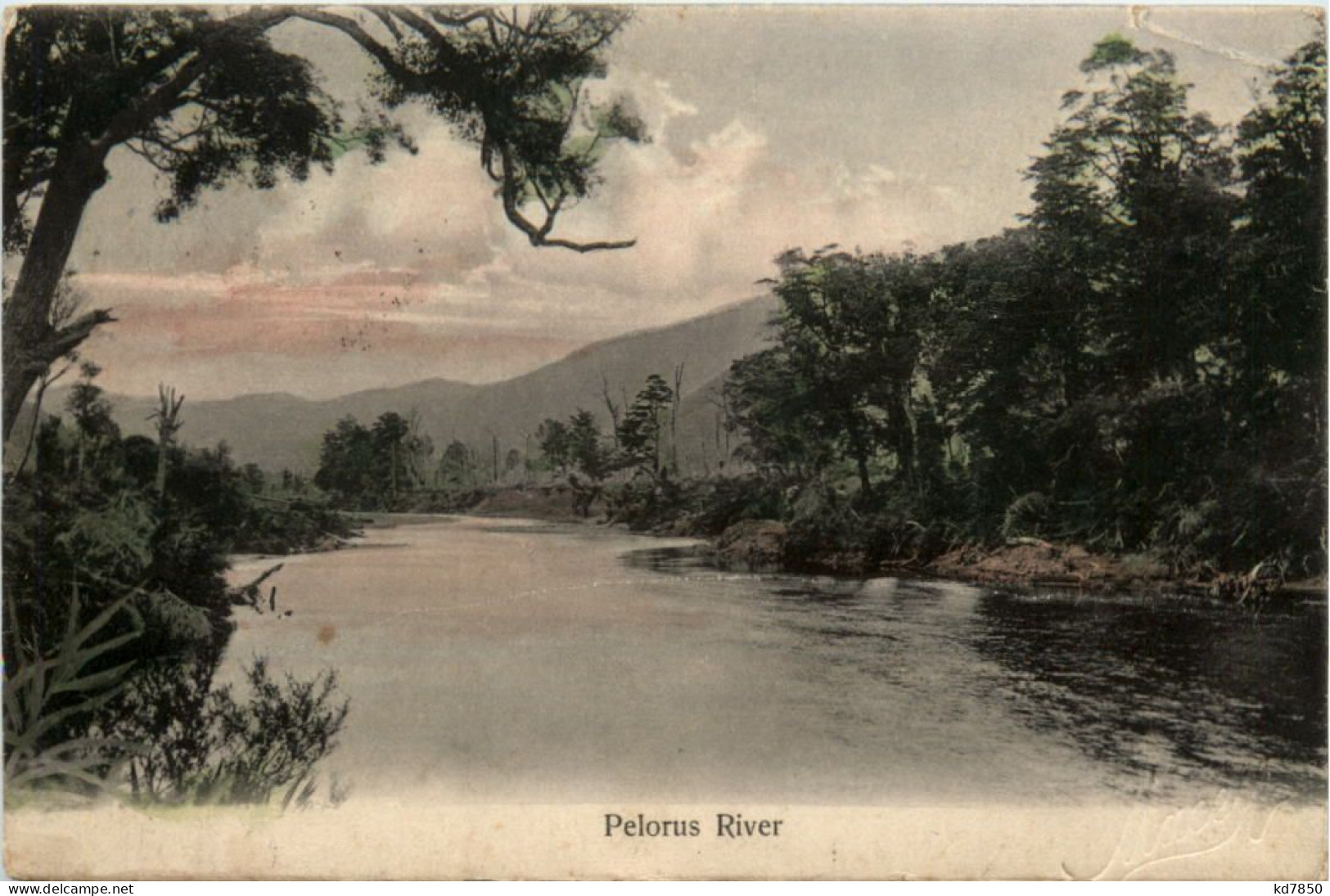 Pelorus River - New Zealand - Nueva Zelanda