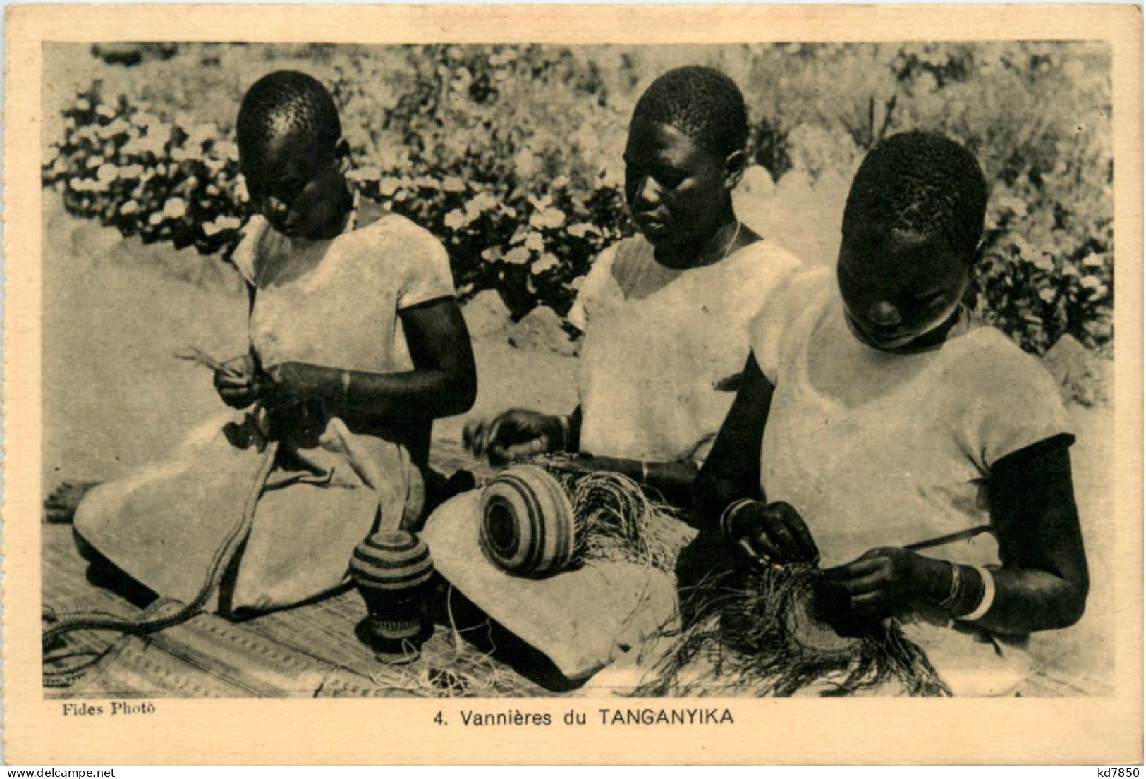 Vannieres Du Tanganyika - Other & Unclassified