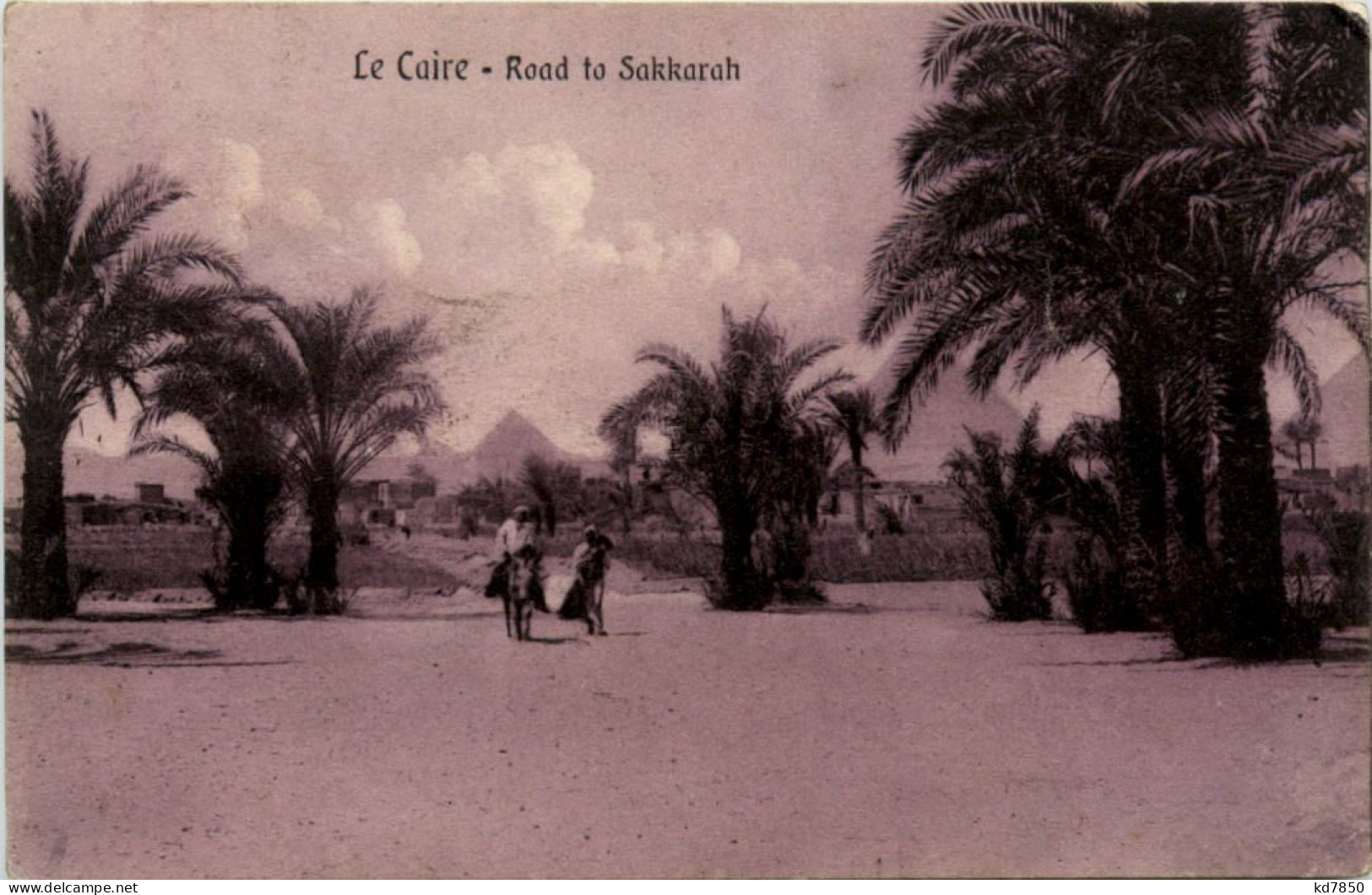 Cairo - Road To Sakkarah - Kairo