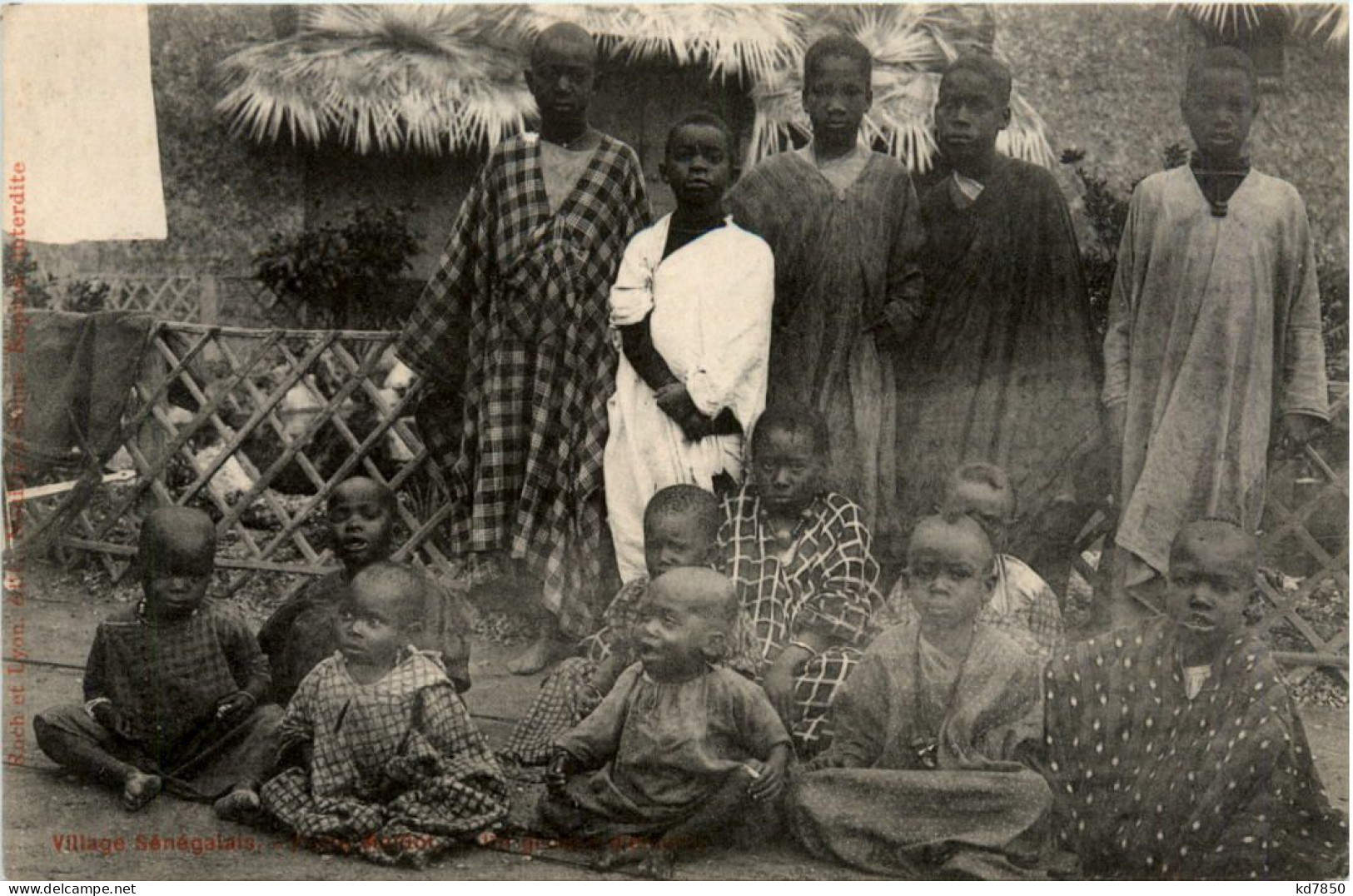 Village Senegalais - Sénégal