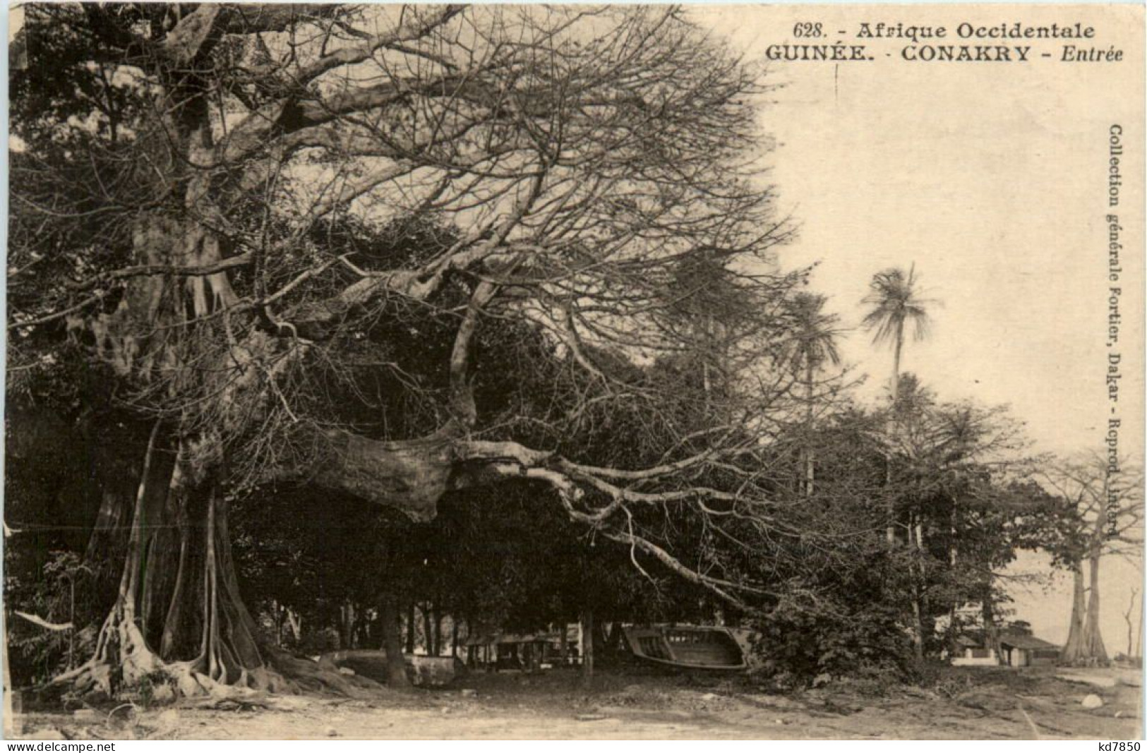 Guinee - Canakry - Guinée