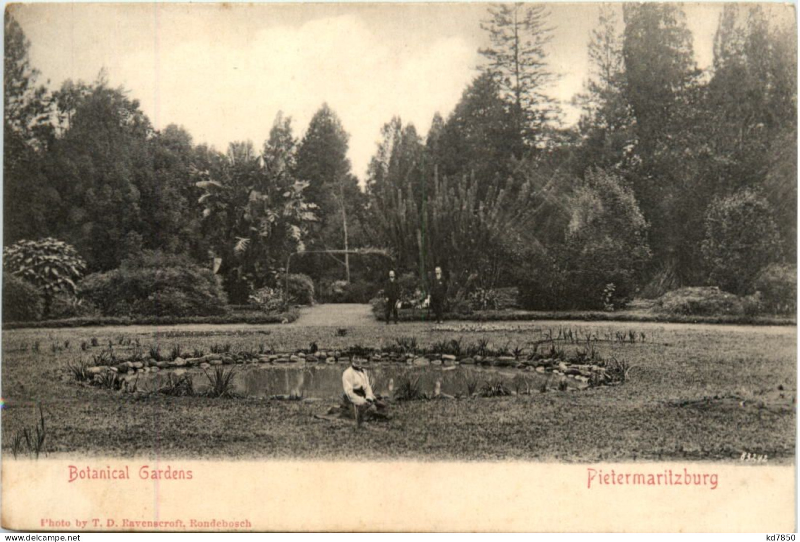 Pietermaritzburg - Botanical Gardens - Zuid-Afrika