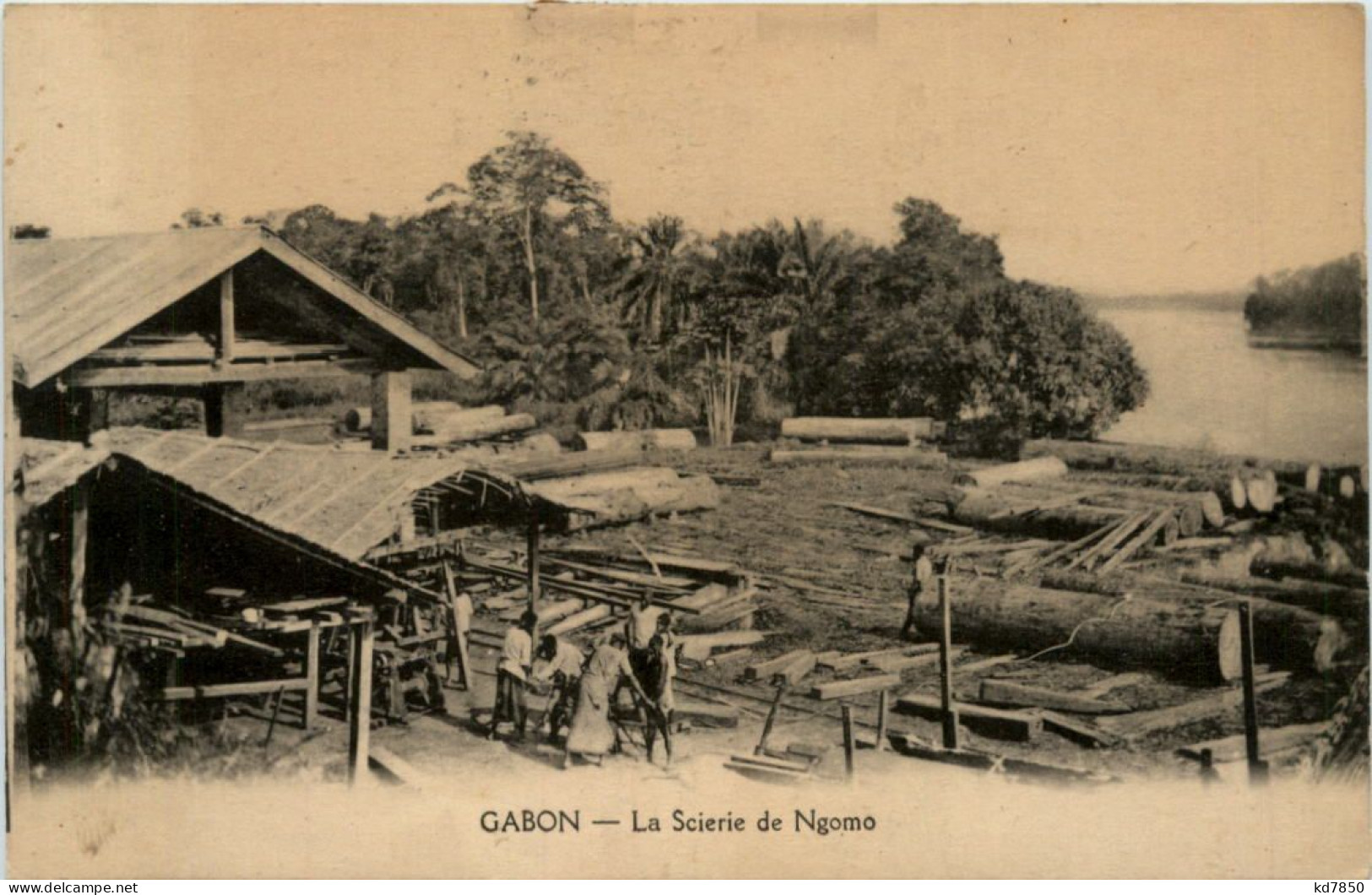 La Scierie De Ngomo - Gabon - Gabun