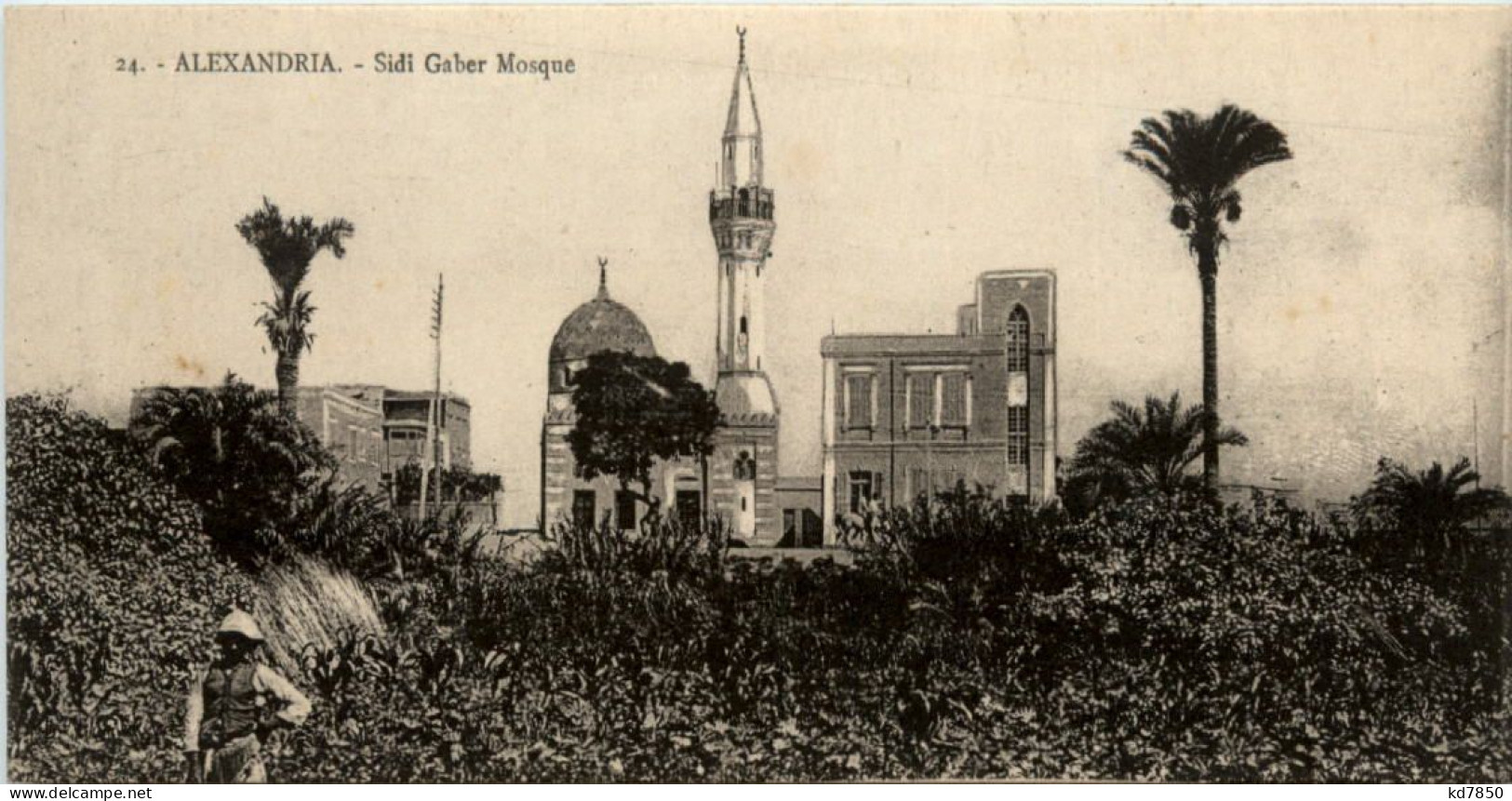 Alexandria - Sidi Gaber Mosque - Alexandria