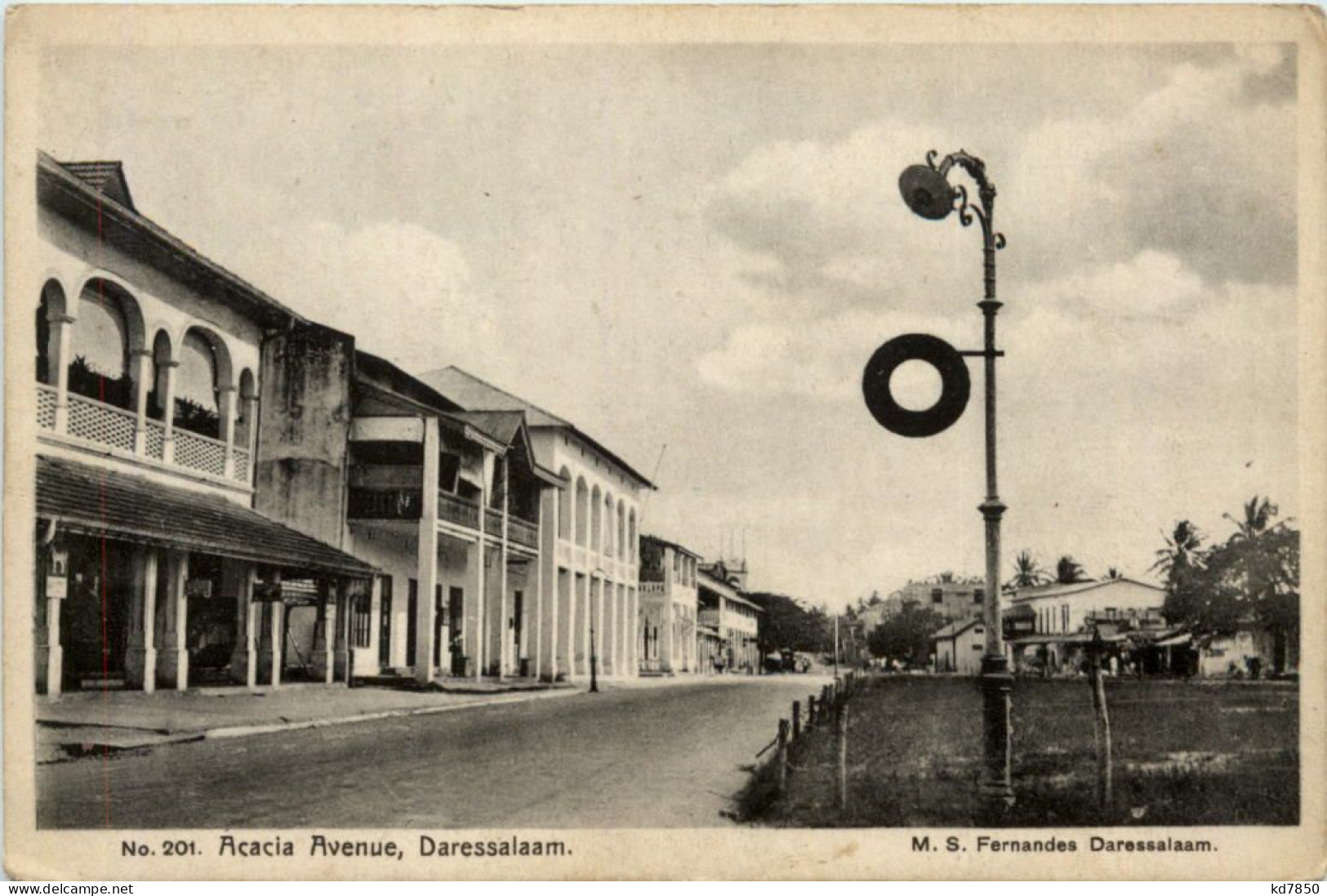 Tansania - Daressalaam - Acacia Avenue - Tanzania