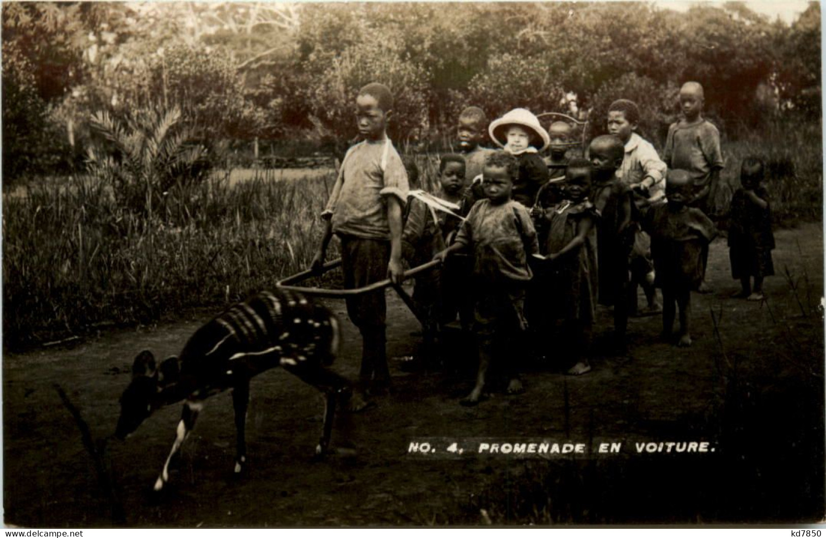 Promenade En Voiture - Ohne Zuordnung