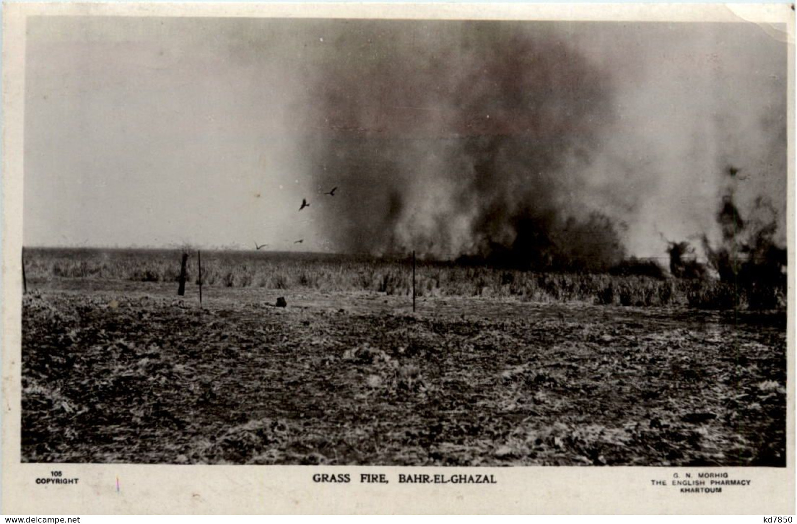 Bahr El Ghazal - Grass Fire - Soudan