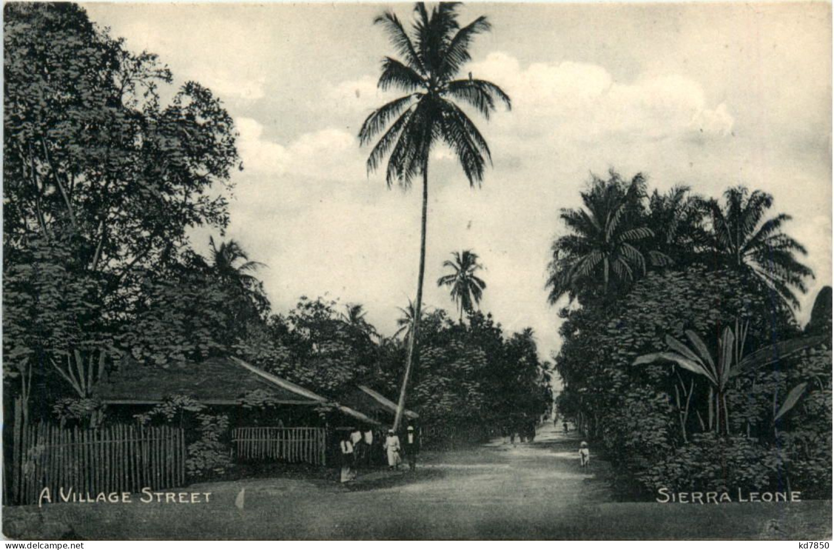 Sierra Leone - Sierra Leone