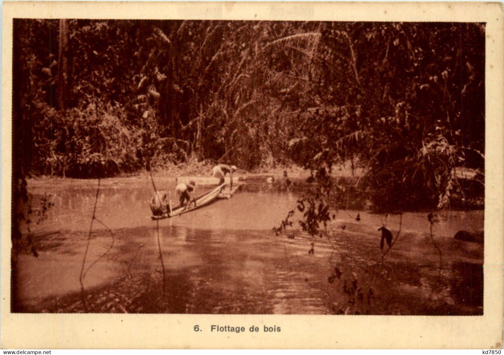 Flottage De Bois - Côte-d'Ivoire