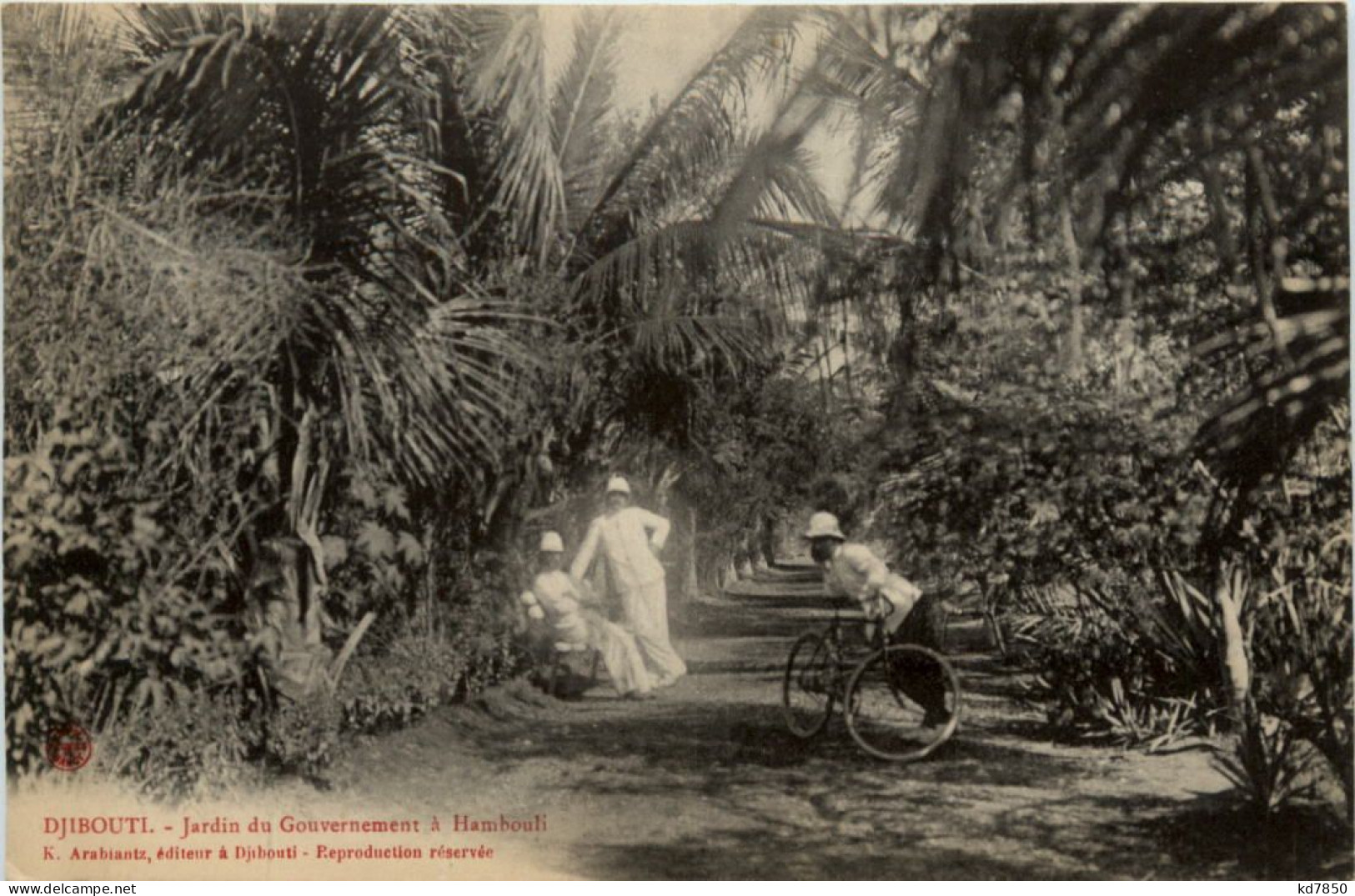 Djibouti - JArdin Du Gouvernement A Hambouli - Djibouti