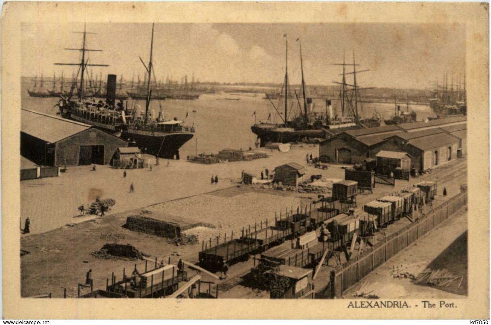 Alexandria - The Port - Alexandria