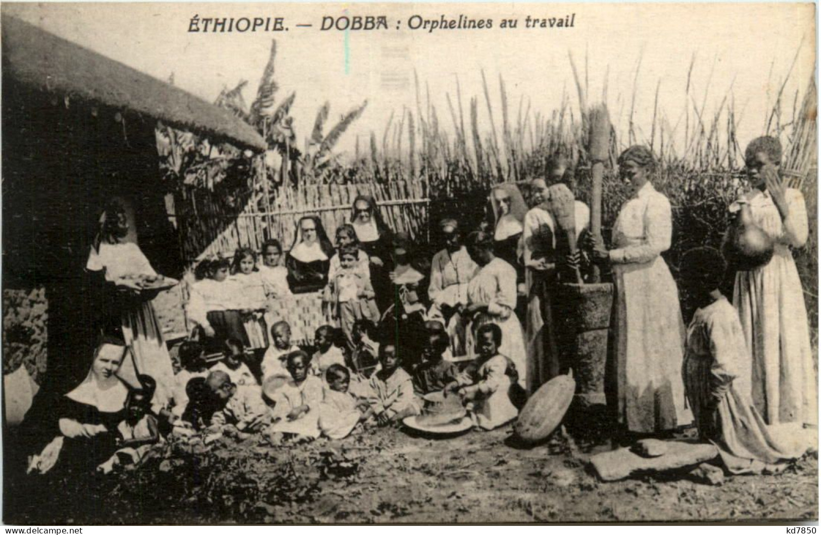 Ethiopie - Dobba - Ethiopie