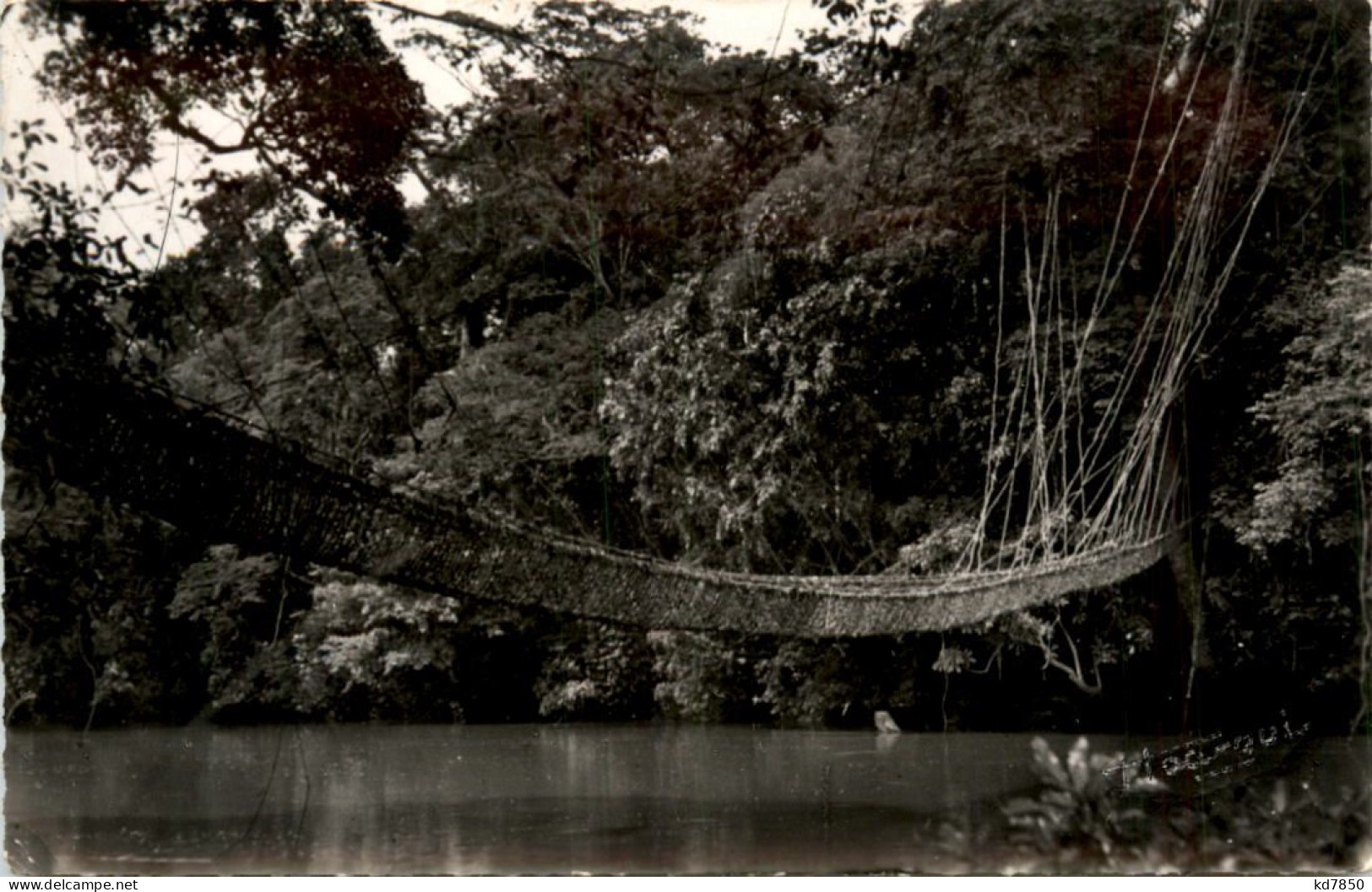 Kamerun . Pont De Lianes - Cameroun