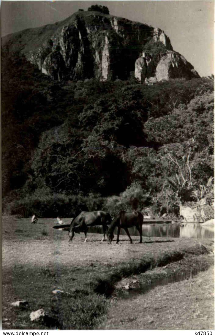 Rhodesia - Leopard Rock - Zimbabwe