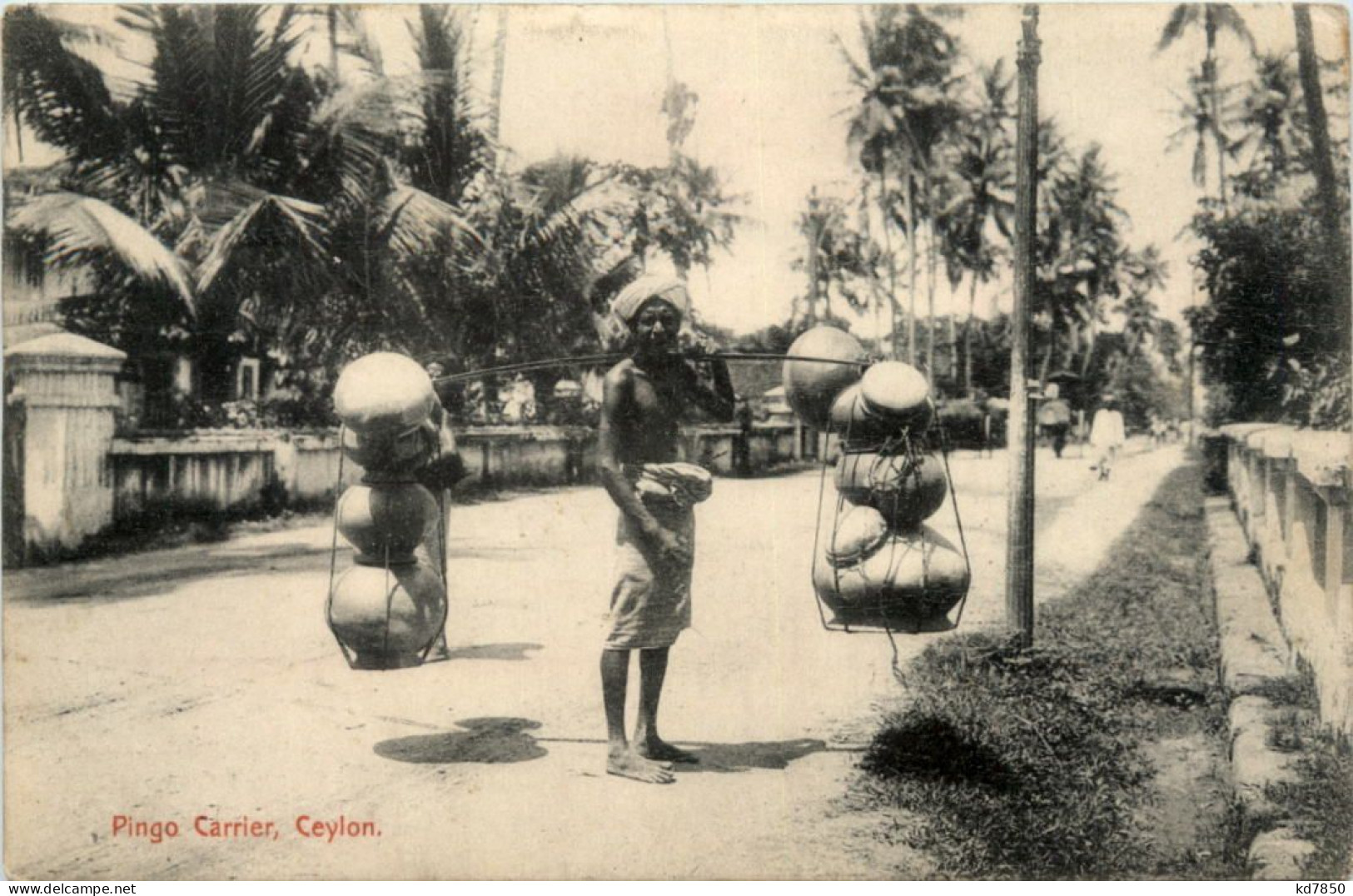 Ceylon - Pingo Carrier - Sri Lanka (Ceylon)