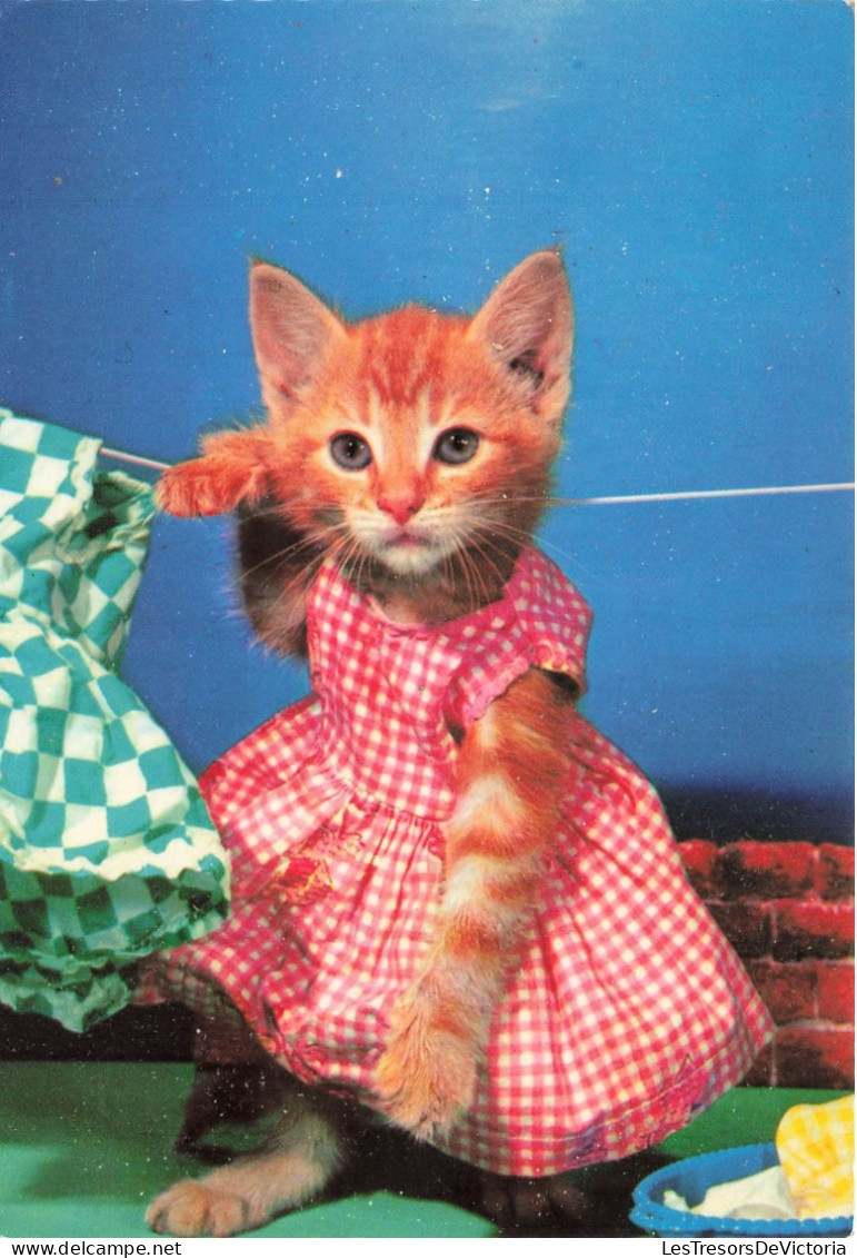 FANTAISIES - Un Chat Dans Une Robe - Colorisé - Carte Postale Ancienne - Animaux Habillés