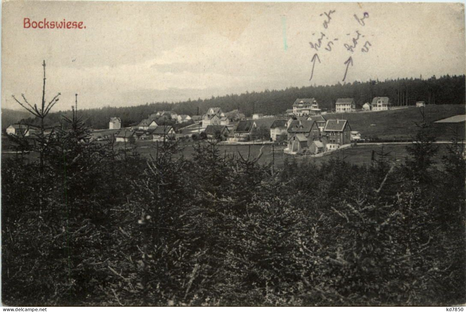 Bockswiese - Goslar