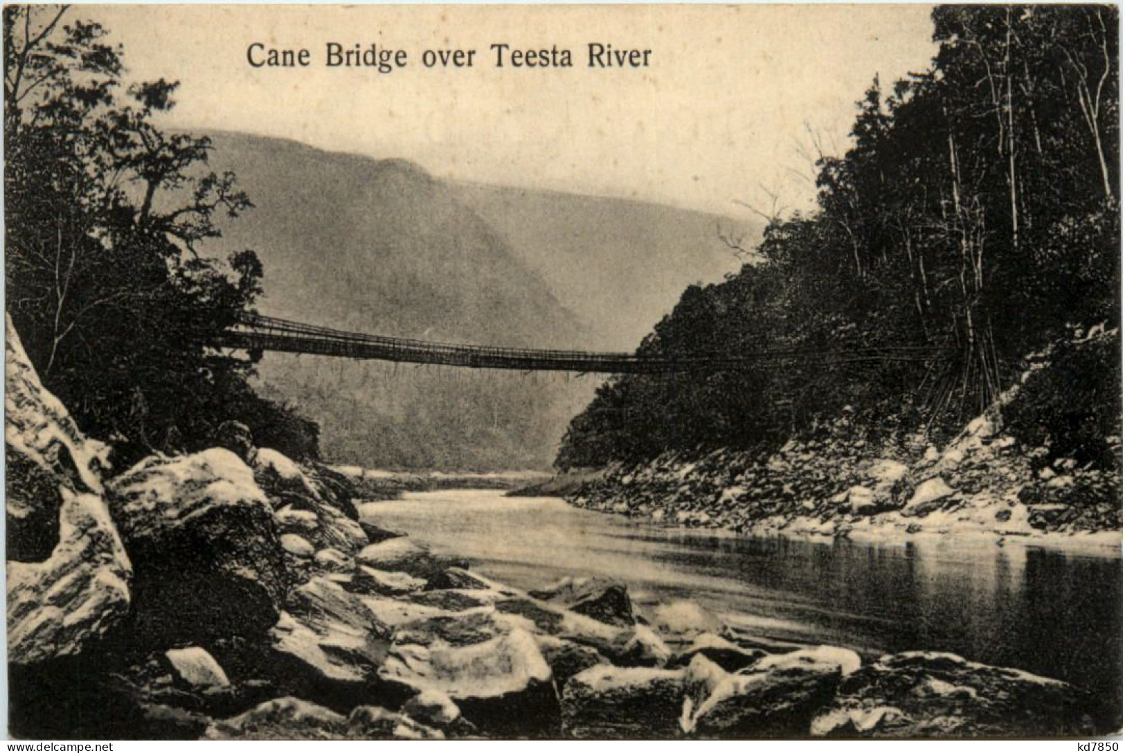 Cane Bridge Over Testa River - India - India