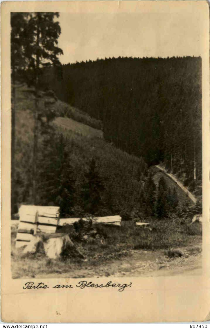 Partie Am Blessberg, Steinheid/Thür.Wald - Neuhaus