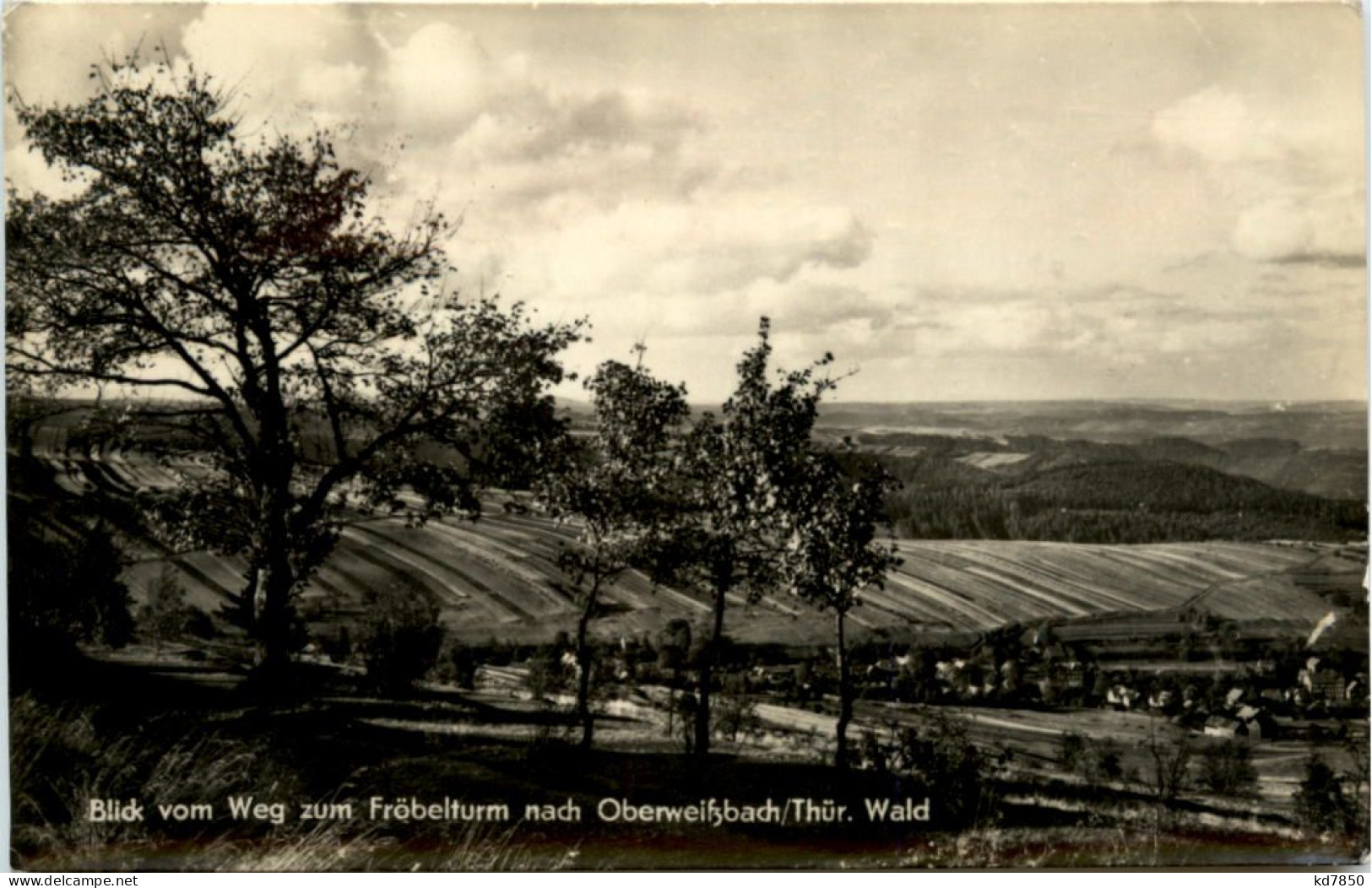 Blick Vom Weg Zum Fröbelturm Nach Oberweissbach - Oberweissbach