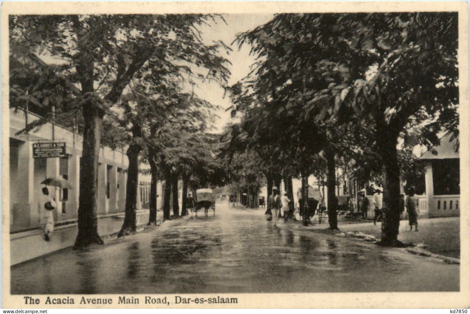 Dar-es-Salaam - Acacia Avenue Main Road - Tansania