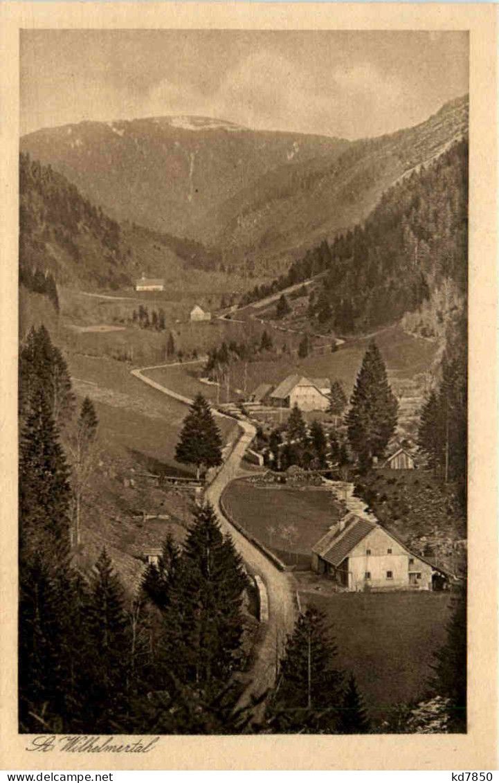 Feldberg,Schwarzwald, St. Wilhelmertal - Feldberg