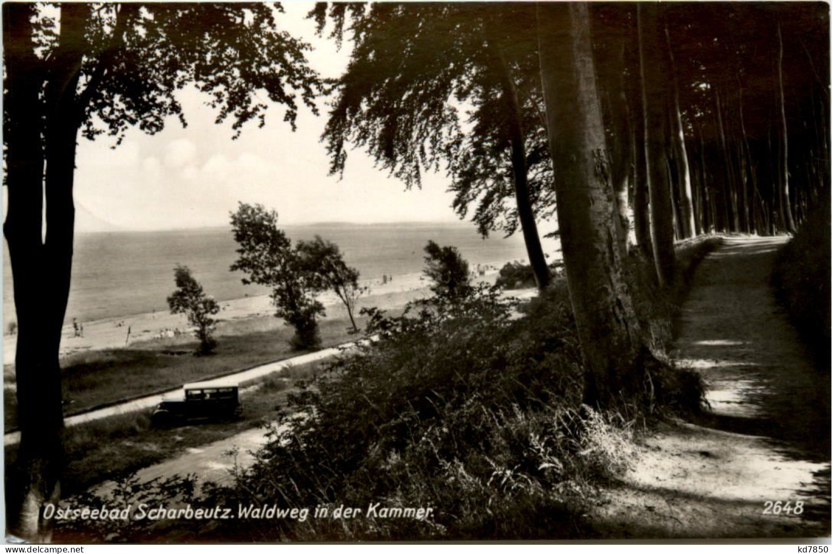 Ostseebad Scharbeutz, Waldweg In Der Kammer - Scharbeutz