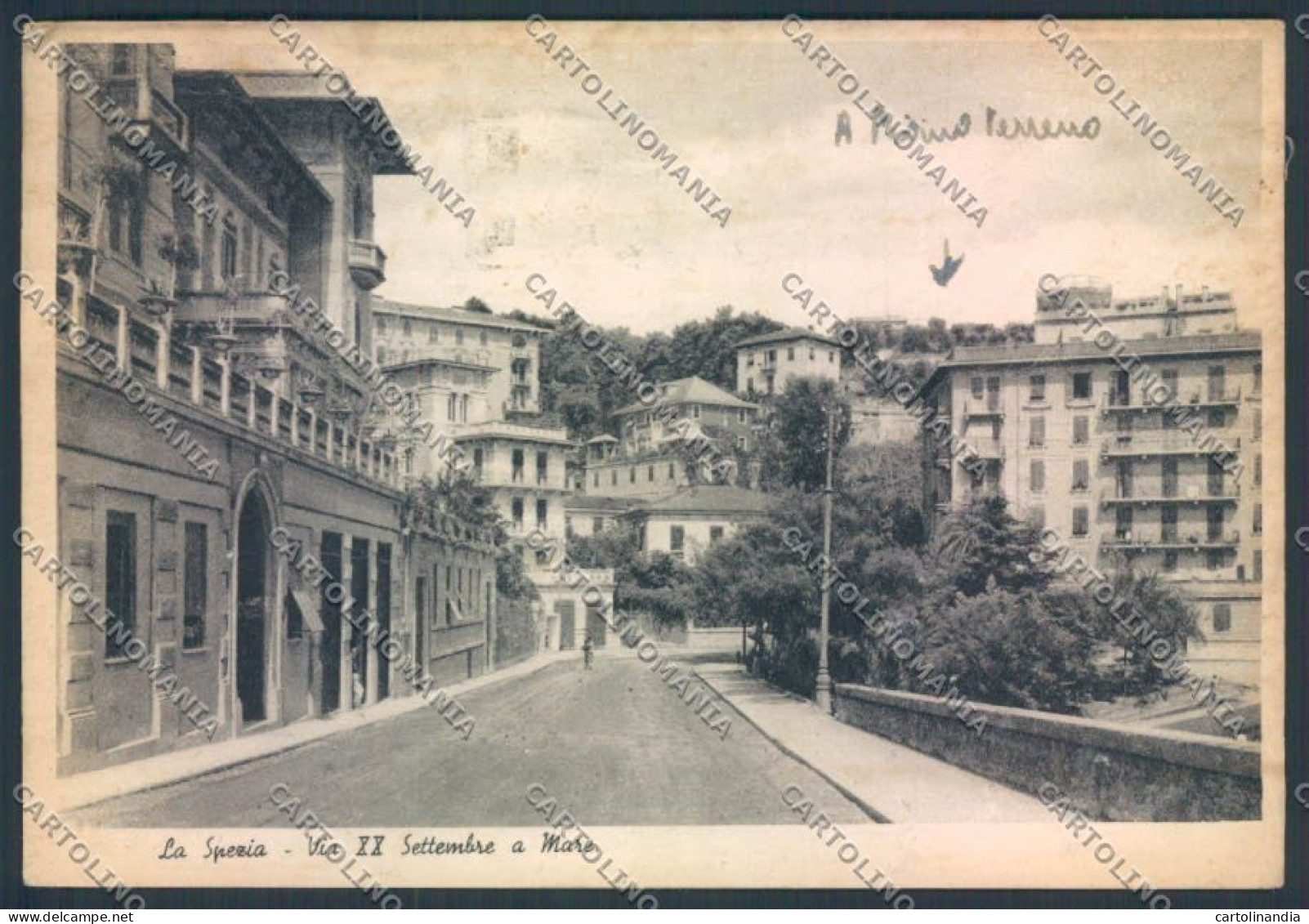 La Spezia Città FG Cartolina ZF3265 - La Spezia