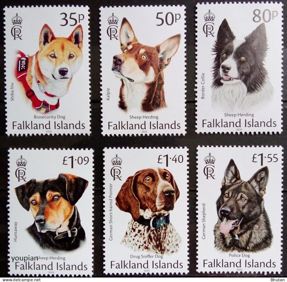 Falkland Islands 2024, Working Dogs, MNH Stamps Set - Islas Malvinas