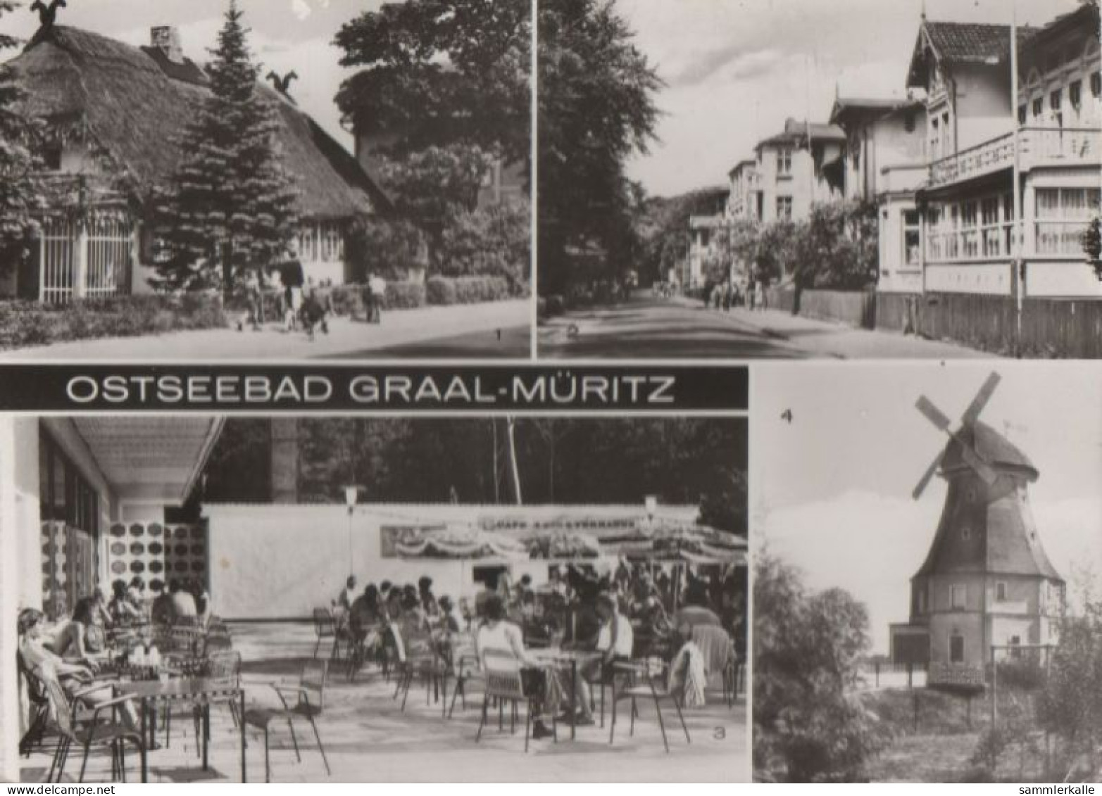 51326 - Graal-Müritz - U.a. Gärtnerische Produktions-Genossenschaft - 1985 - Graal-Müritz