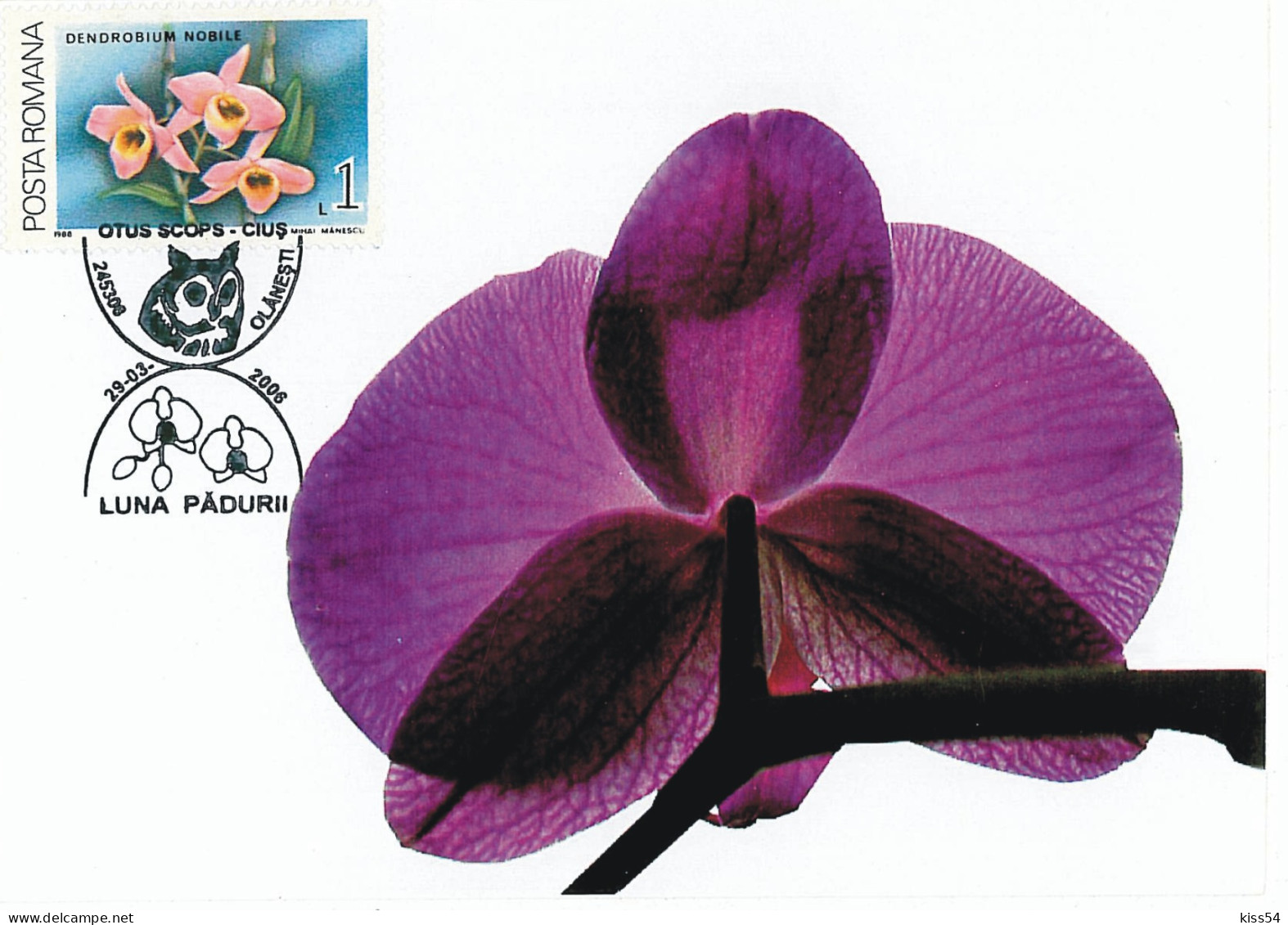 MAX 45 - 60 ORCHID, Romania - Maximum Card - 2006 - Orchidées