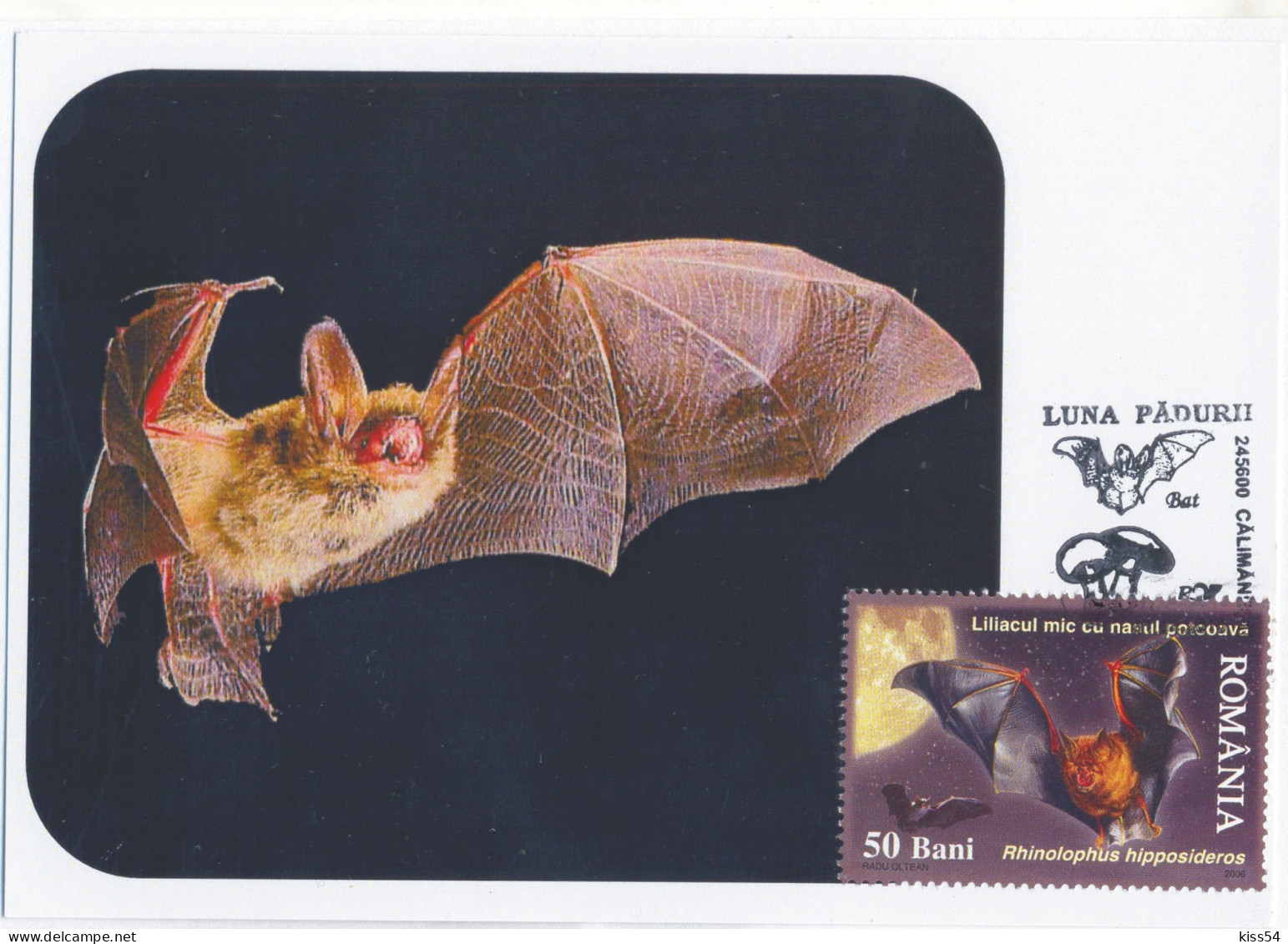 MAX 45 - 233 BAT, Romania - Maximum Card - 2009 - Chauve-souris