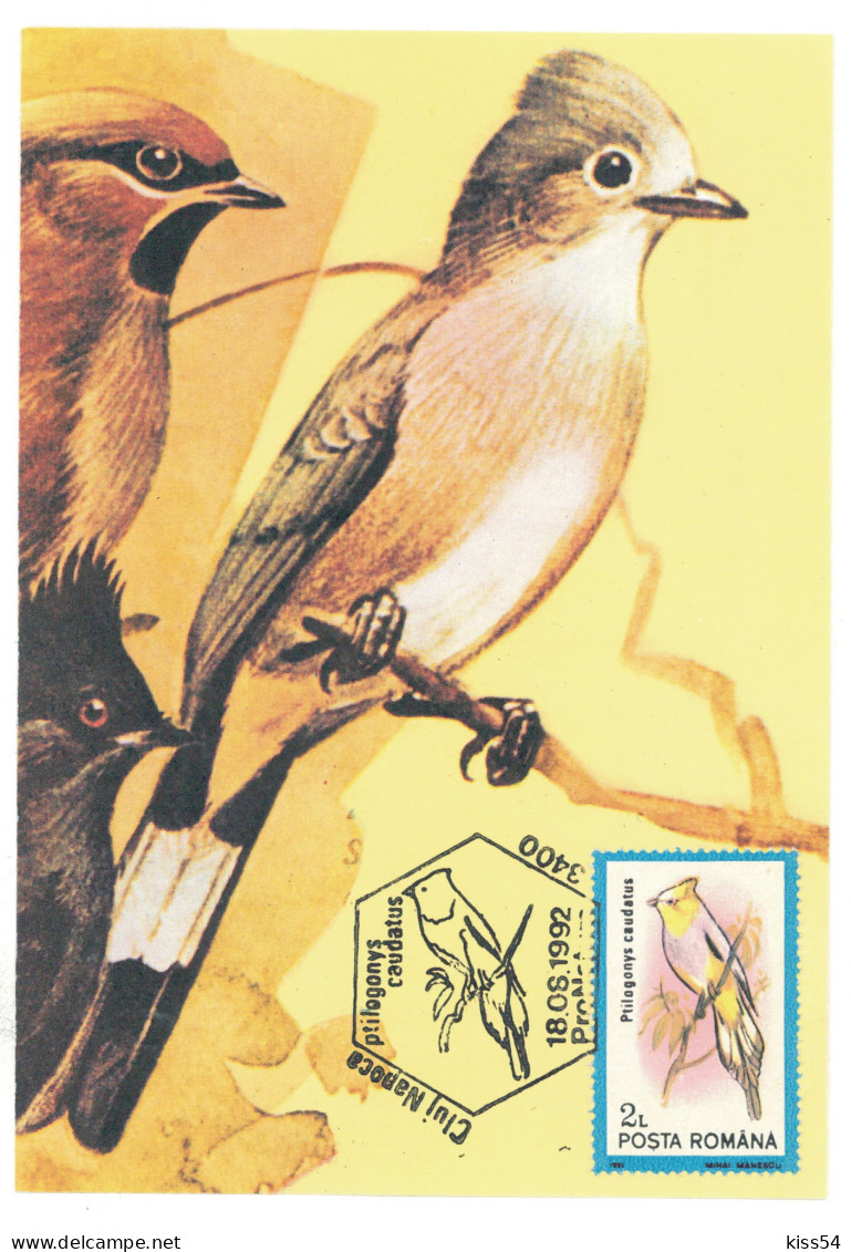 MAX 45 - 395 BIRD, Romania - Maximum Card - 1992 - Altri & Non Classificati