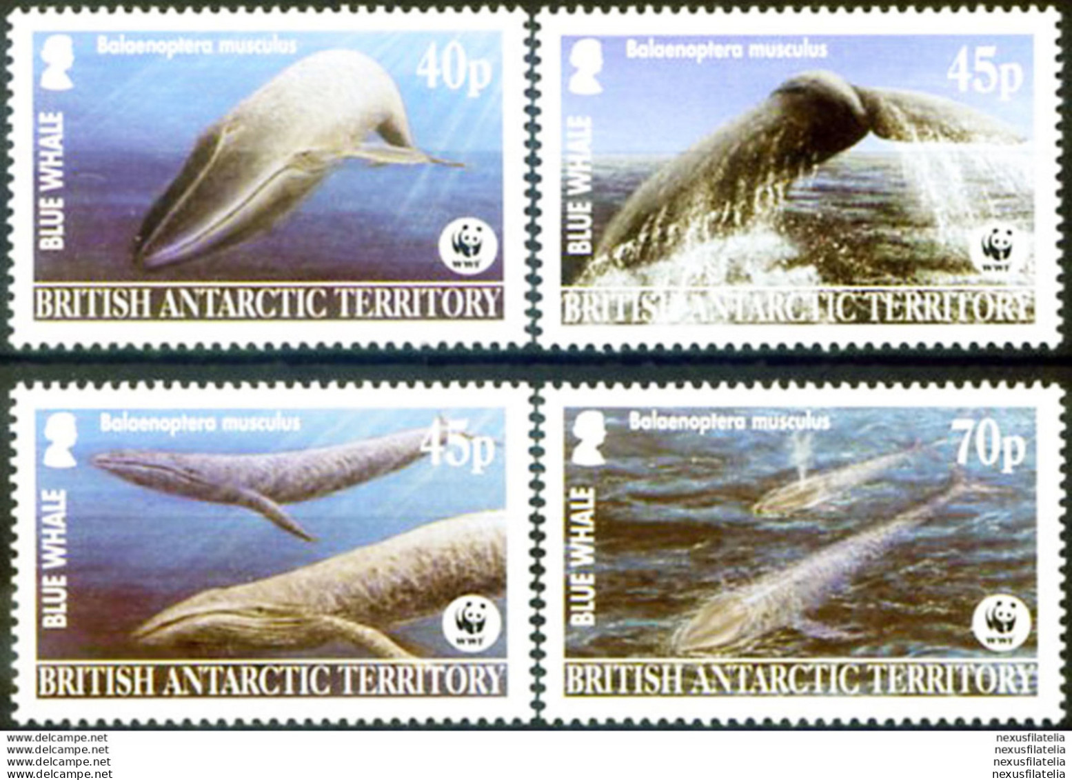 Fauna. Balena. WWF 2003. - Autres & Non Classés