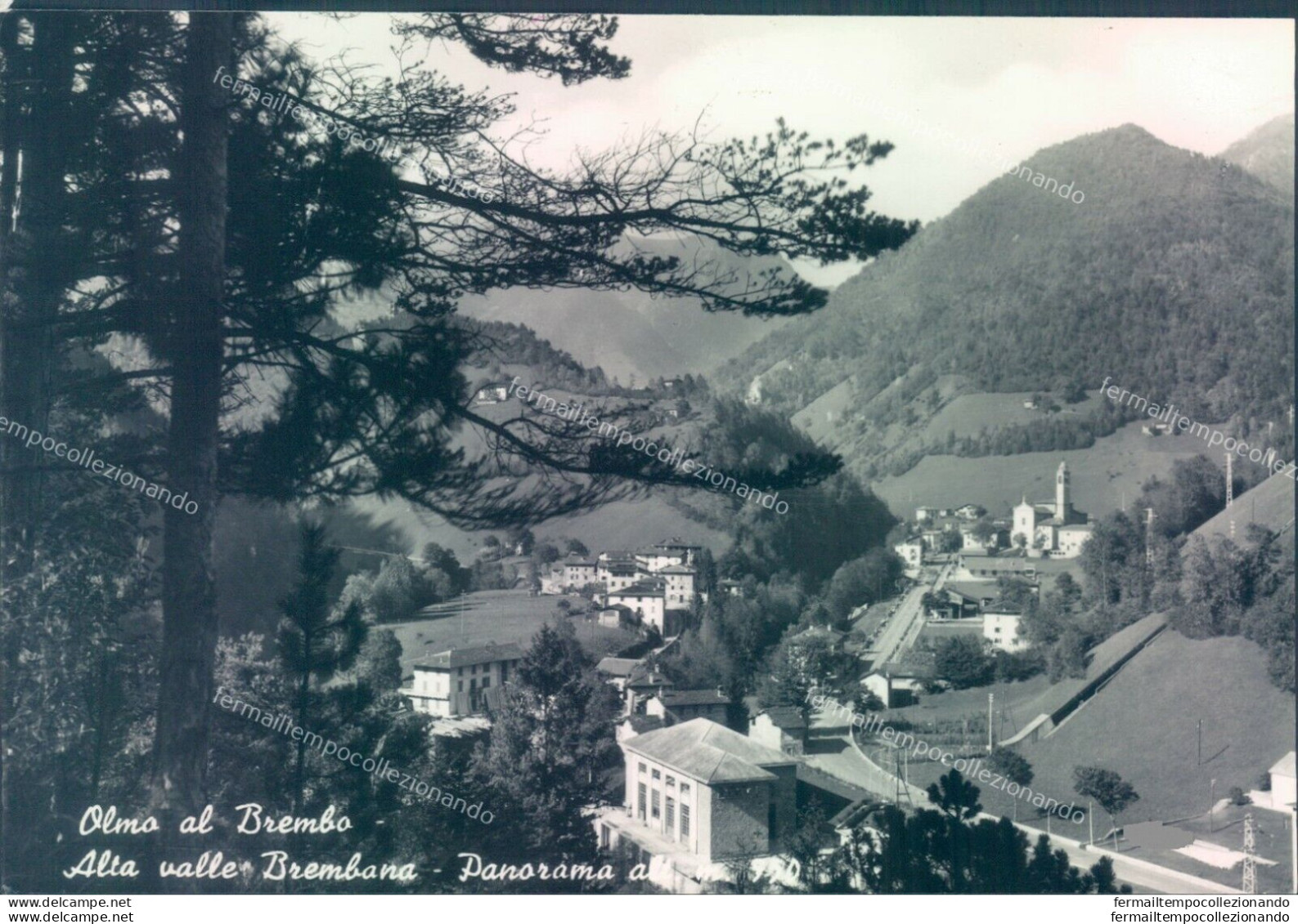 O606 Cartolina Olmo Al Brembo Panorama Provincia Di Bergamo - Bergamo