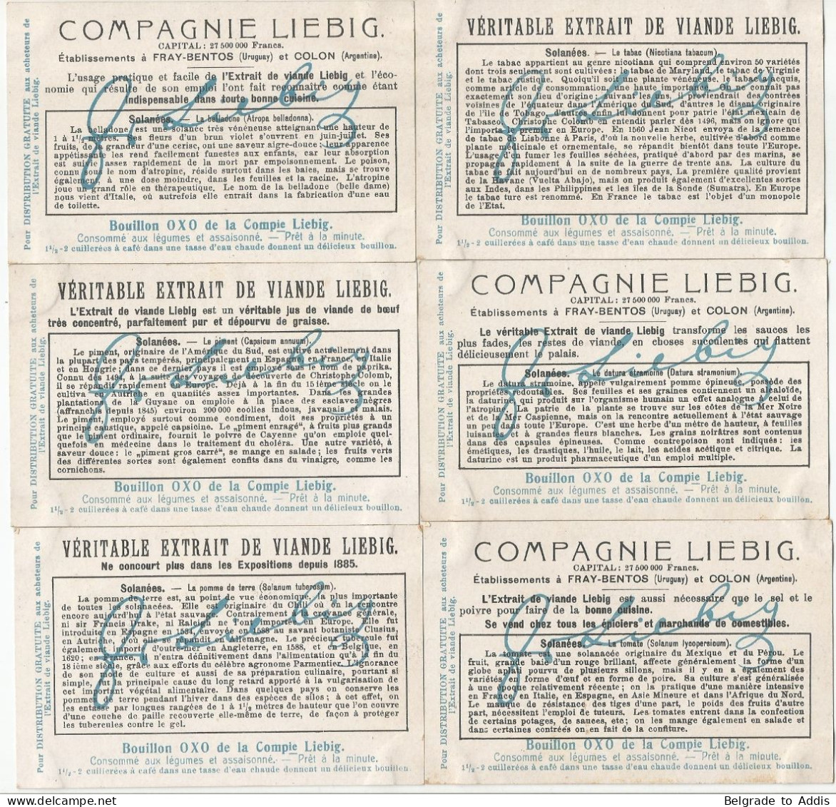 Chromo Liebig Série Compl. De 6 Chromos S_0976 Solanées 1910 - Liebig